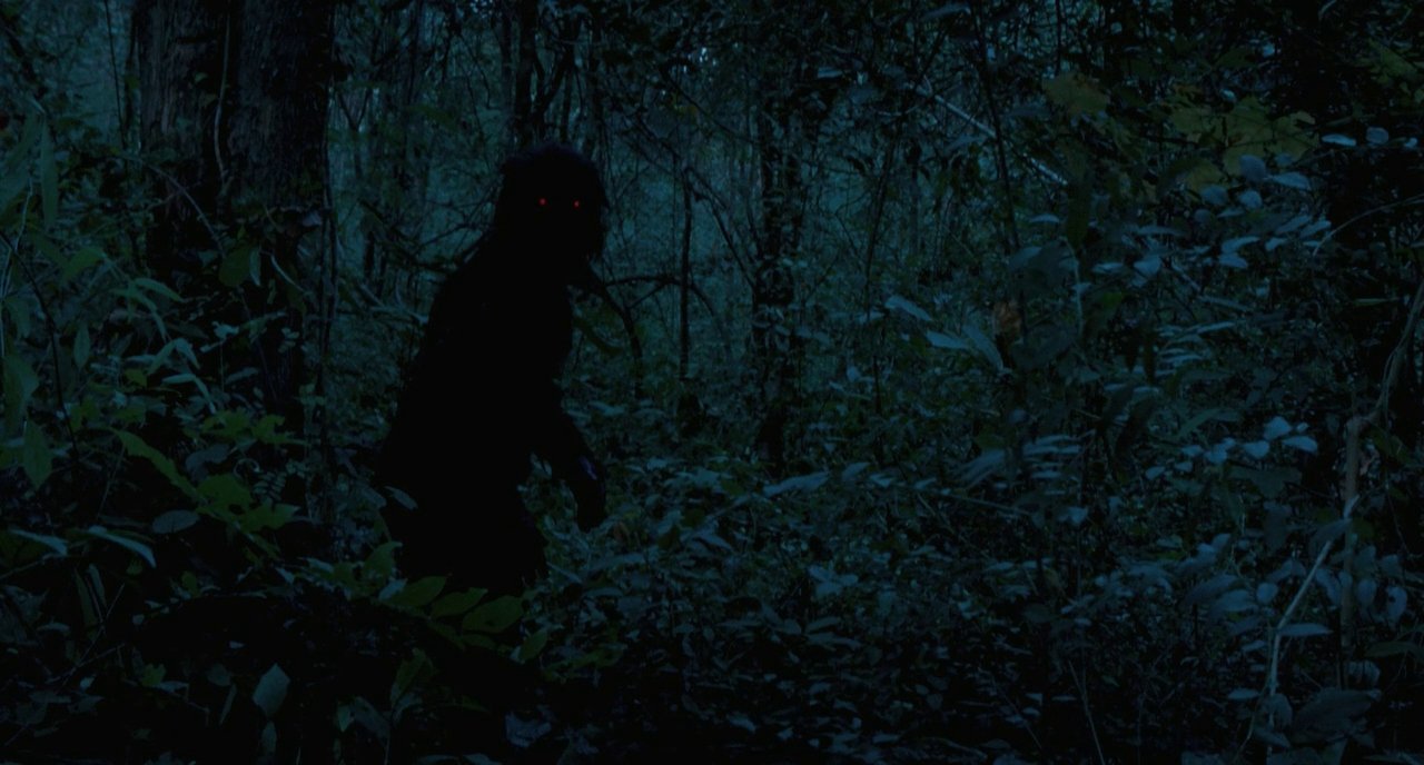 Free to Air 4th December