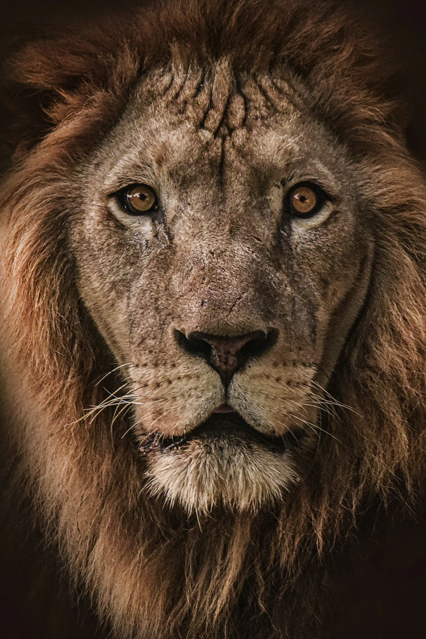 The Call of Leaders to Arise