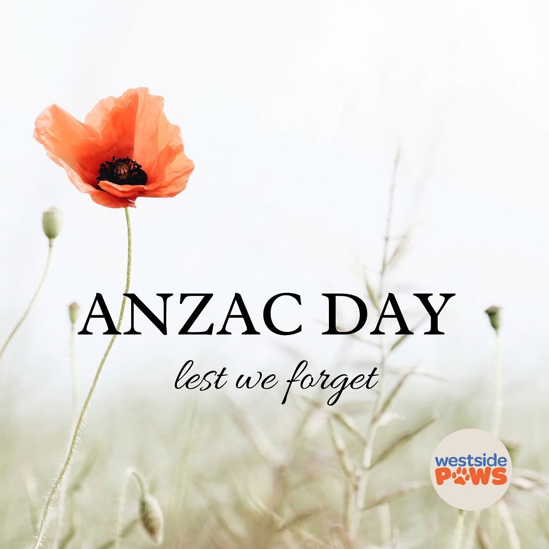 &ldquo;They shall grow not old, as we that are left grow old; Age shall not weary them, nor the years condemn. We will remember them&rdquo;.

Lest we forget!

#AnzacDay2024
#LestWeForget
#AnzacSpirit
#AnzacLegacy
#AnzacCommemoration
#WeWillRememberTh