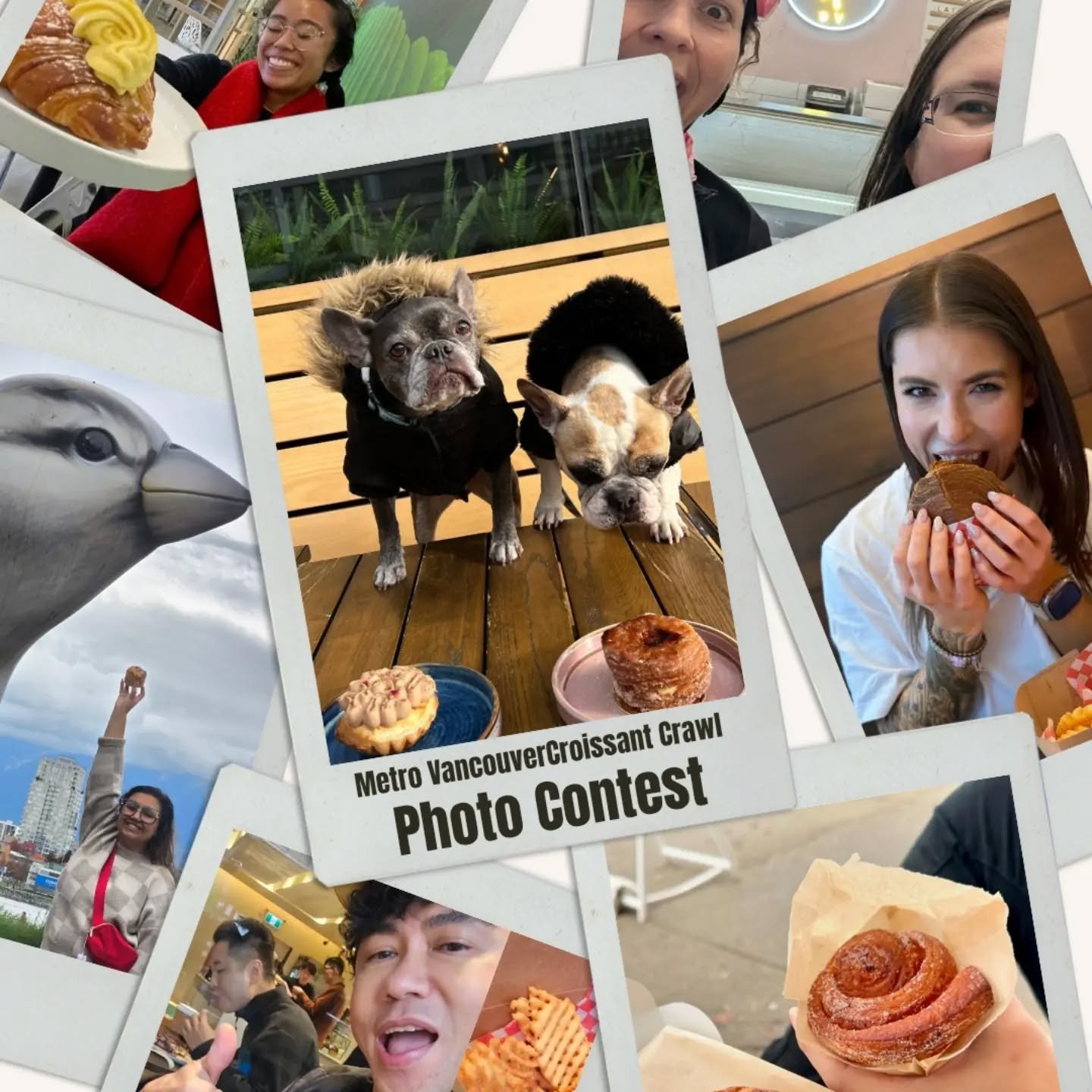🥳Share your Croissant Crawl adventures for a chance to win! 

Prizes: Croissant cash! (prize pool with $750 in gift cards to our amazing vendors up for grabs), Metro Vancouver Croissant Crawl canvas totes, or 100 @evocarshare driving minutes. 

⭐Two