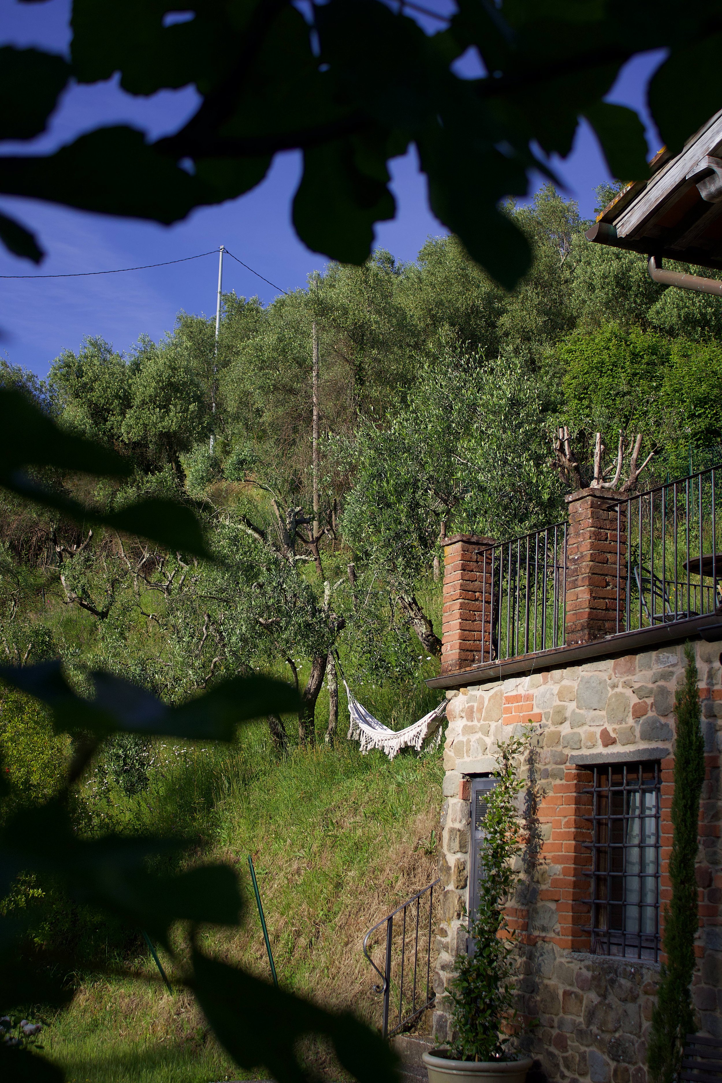 SoricoLuce - photo 5.jpg