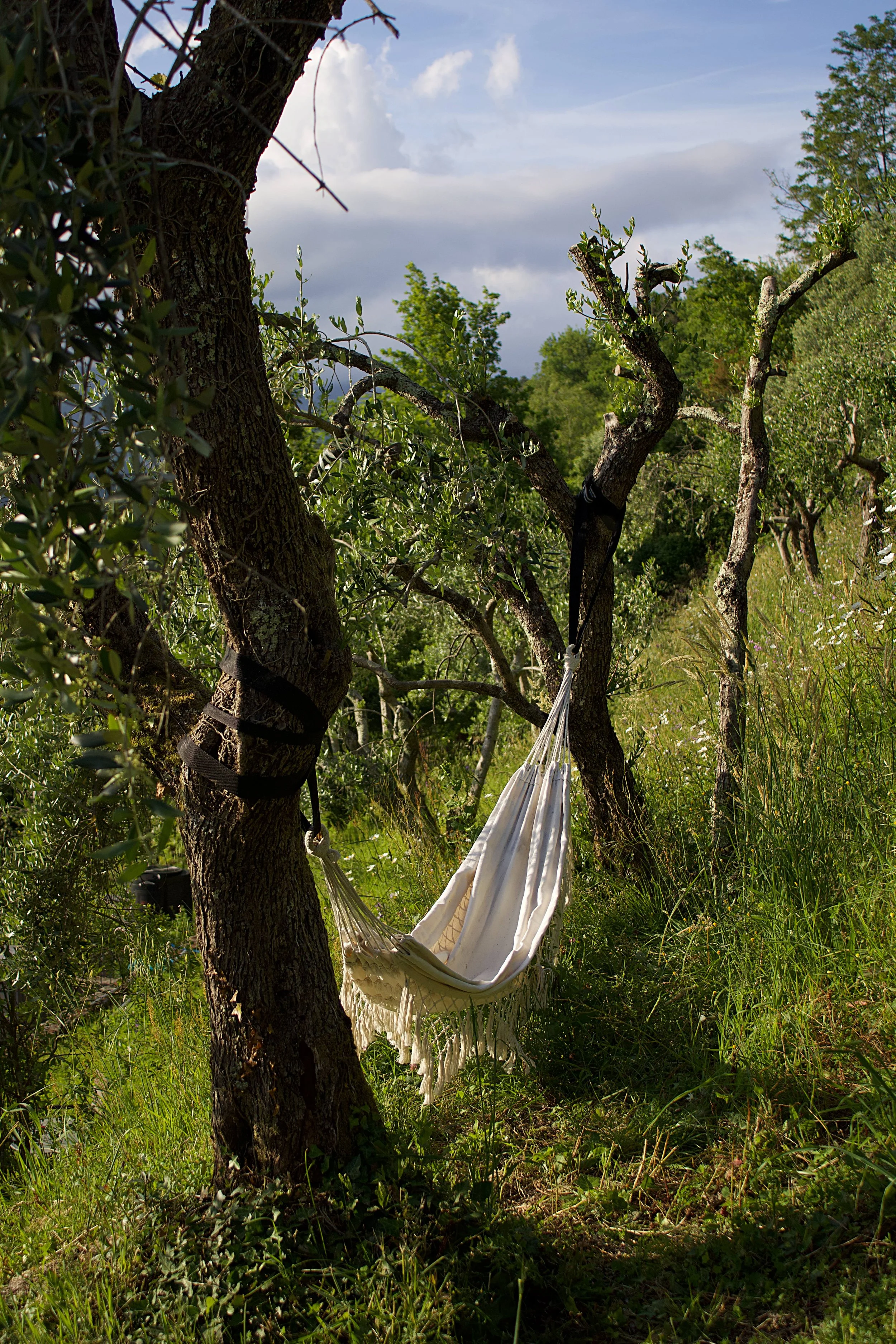 SoricoLuce - photo 6.jpg