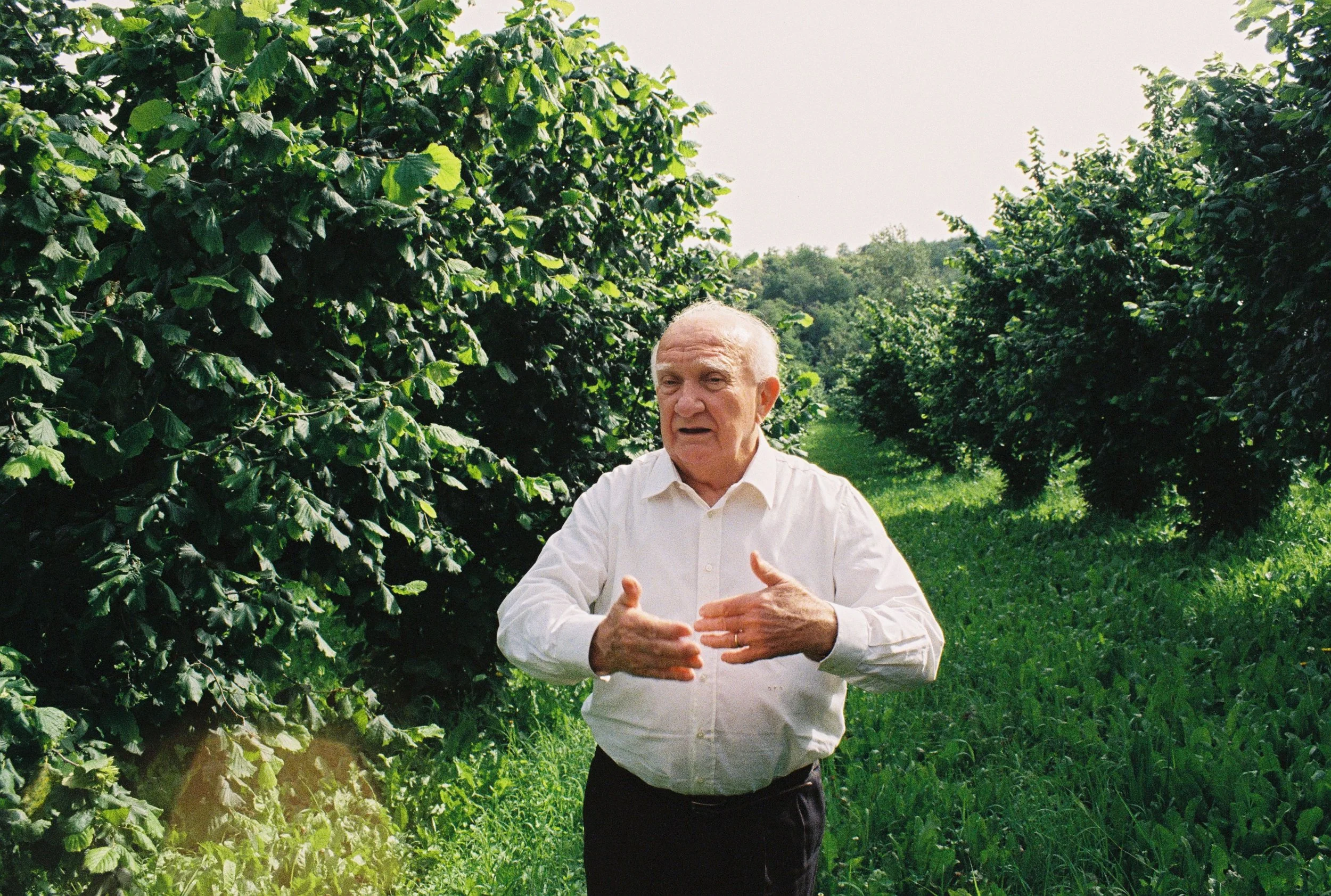 Een duik in de complexe ketens van hazelnoten