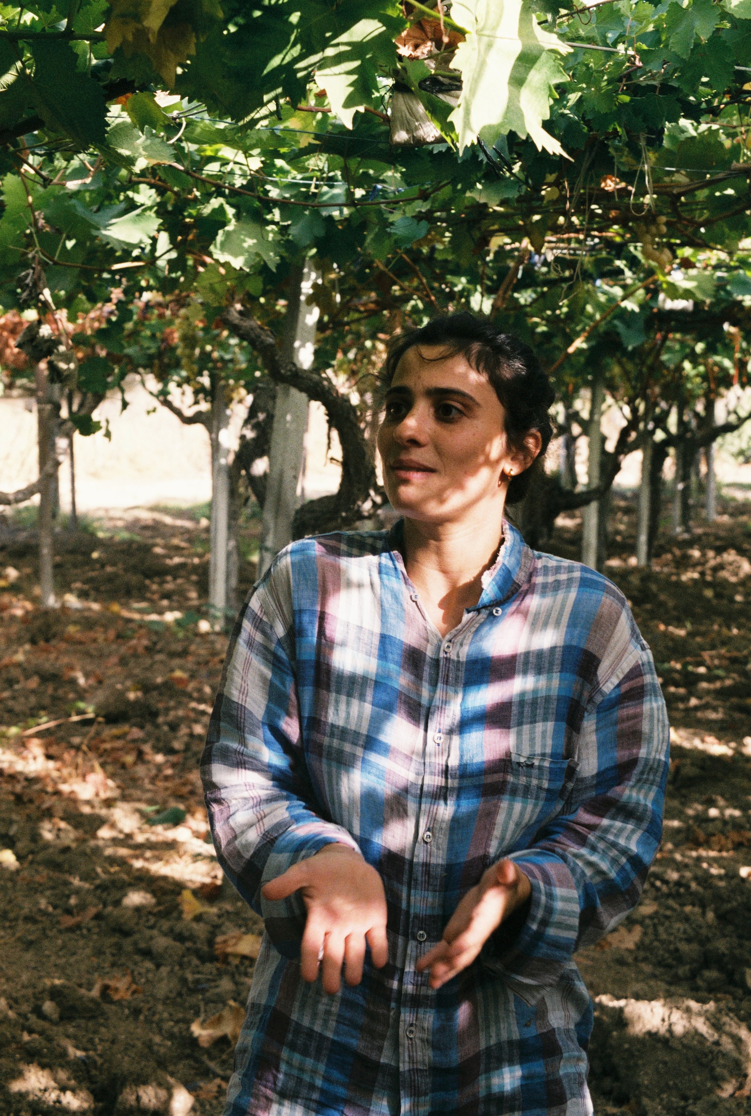 Elena, La Reginella (The Queen, letterlijk)