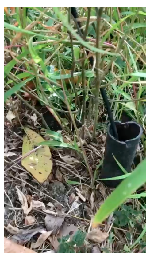 Scherm­afbeelding 2025-09-02 om 10.03.37.png