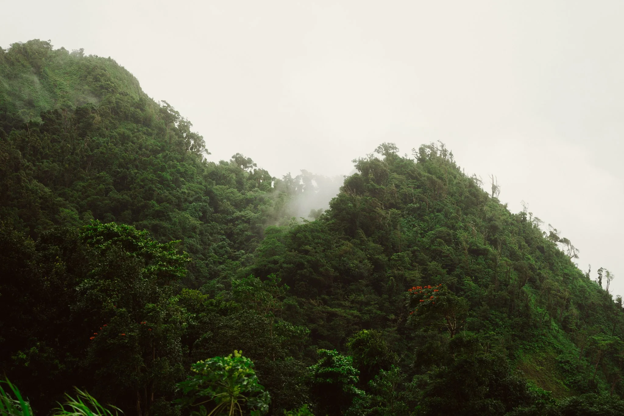 220121_Nature_SmallSize_08.jpg