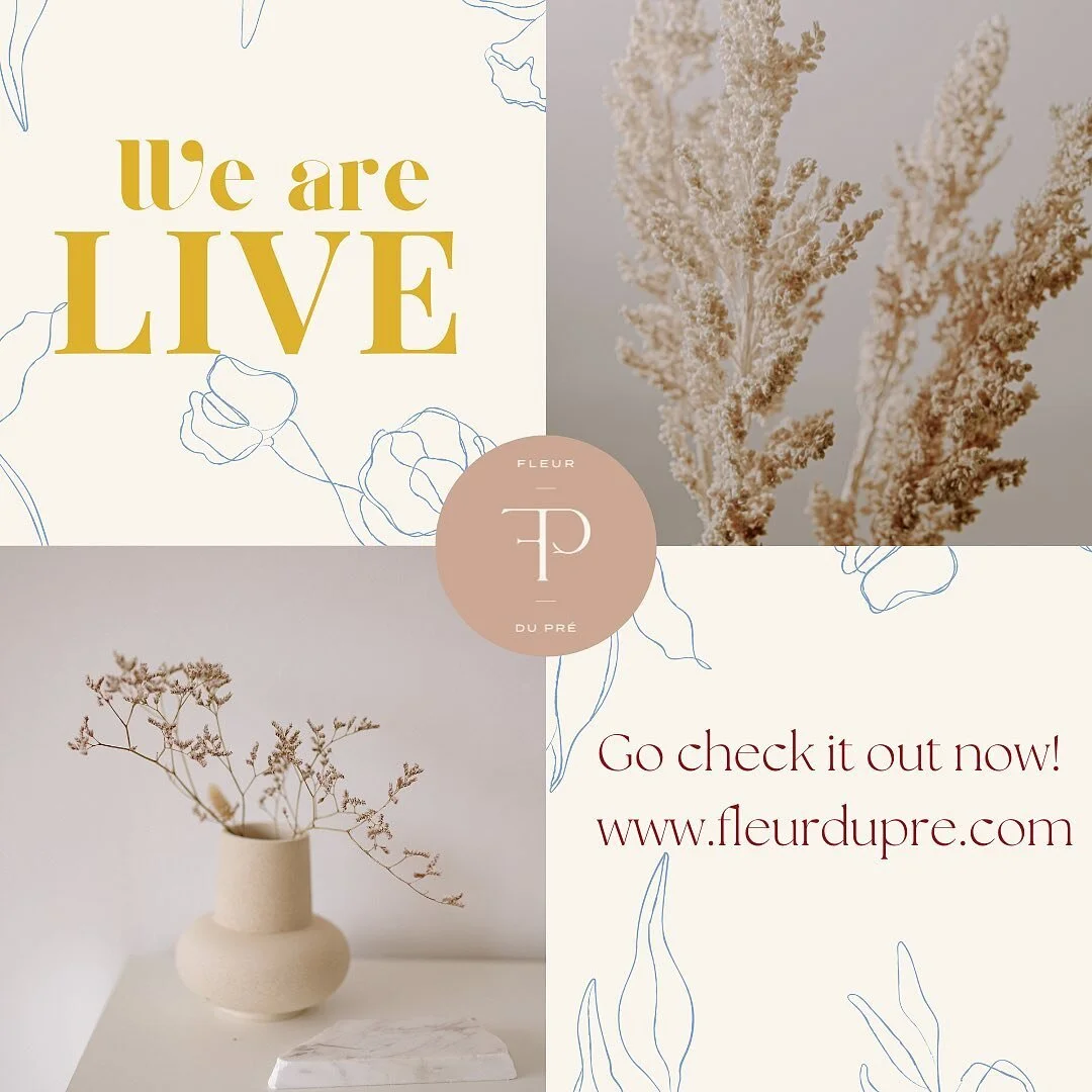 It&rsquo;s HERE! Beyond thrilled to announce we are officially live. So thankful for all the support and collaboration I&rsquo;ve received in growing my small business. This is gonna be a great year!