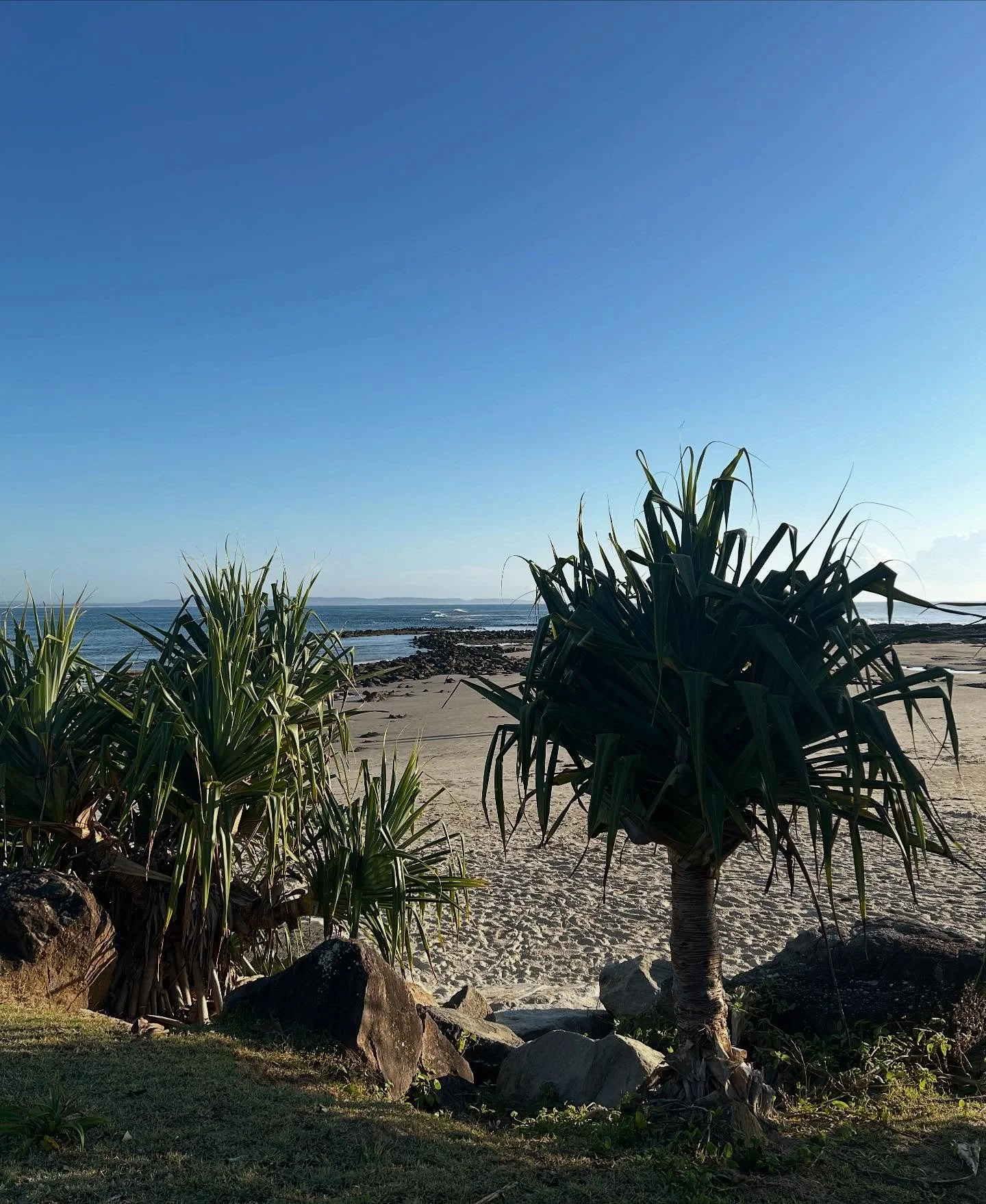 SPRING BREAK!
No trading for @thenourishedsovereign over the next few weeks as we take some much needed time off up the coast. I’ll also be flicking off the phone for a digital detox. Unfortunately this means we won’t be @sagemoruya for