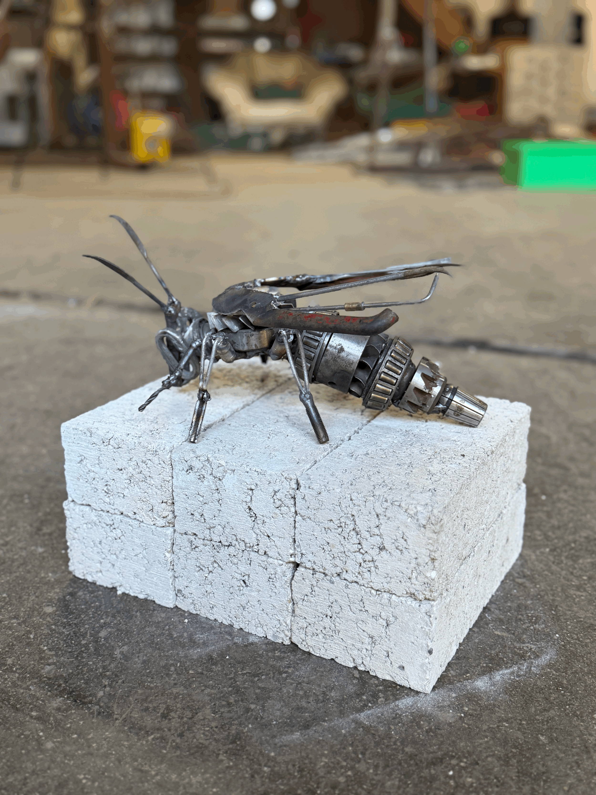 tempImageY5bnU6.gif