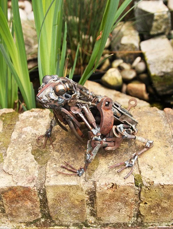 Toad