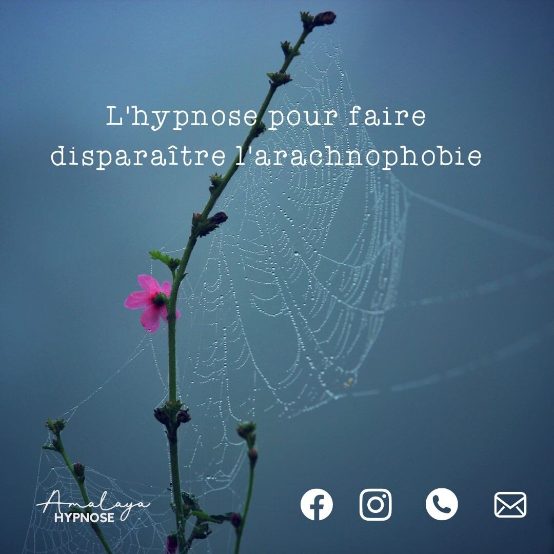 ✨ Un petit corps, de longues pattes, un d&eacute;placement vif et silencieux... 🕸️un sujet br&ucirc;lant d&rsquo;actualit&eacute; en ce mois d&rsquo;octobre ! Saviez-vous qu&rsquo;il s&rsquo;agit du mois de la drague pour l&rsquo;araign&eacute;e ? 
