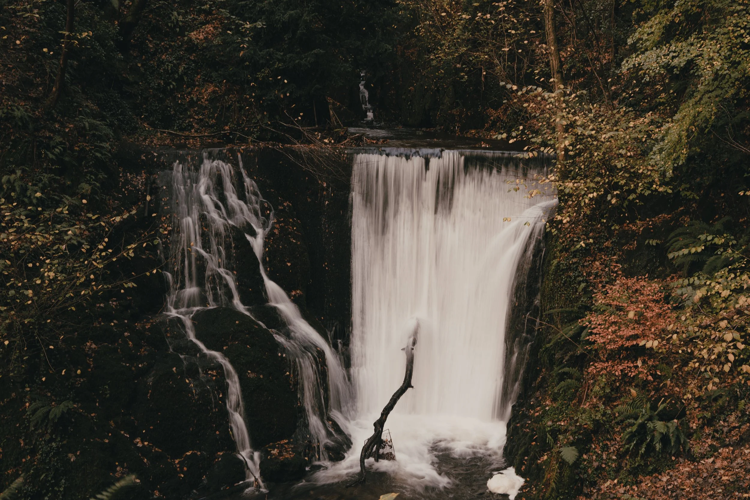Pucks Glen