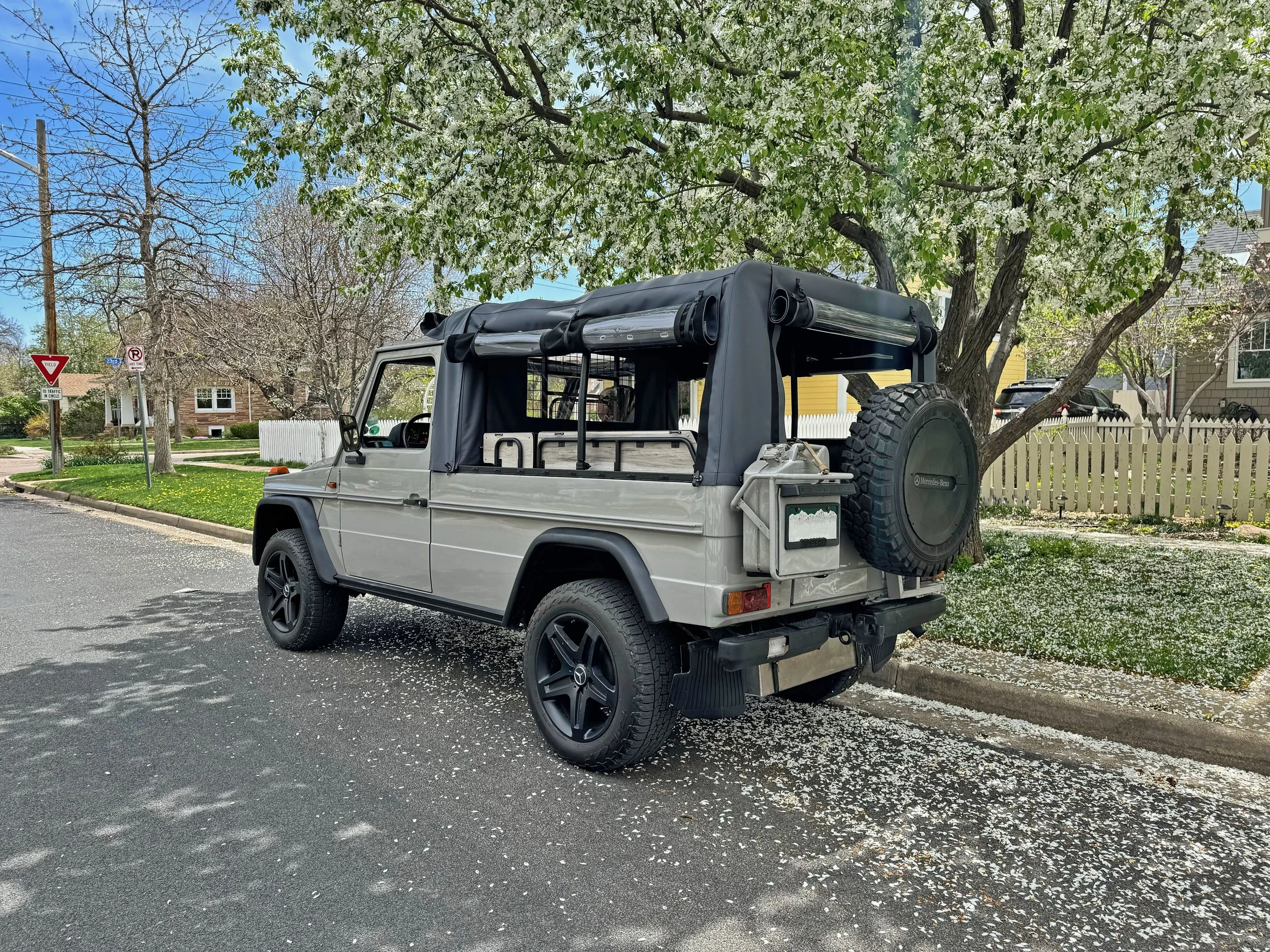 left rear quarter.jpg