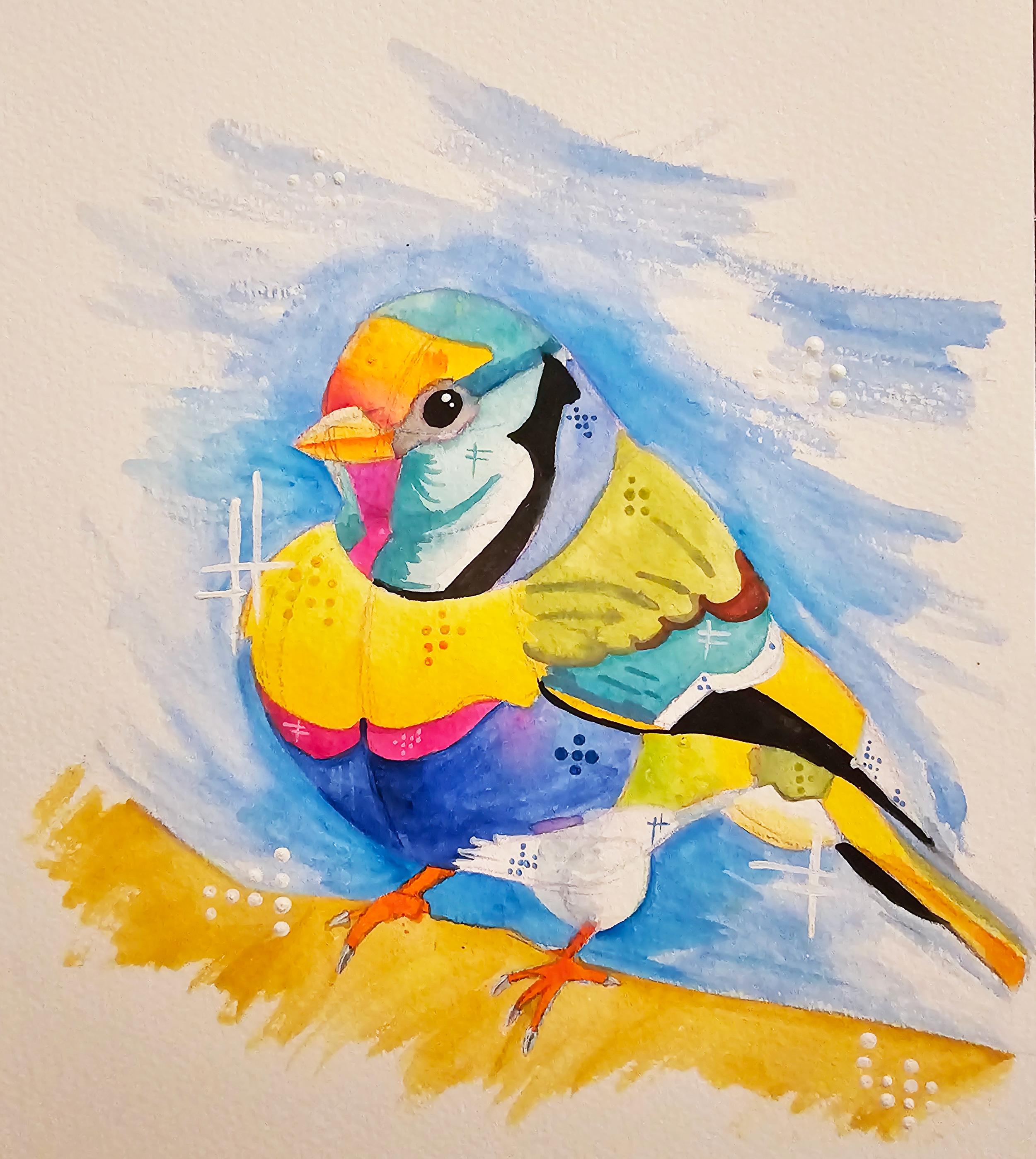 Gouldian Finch