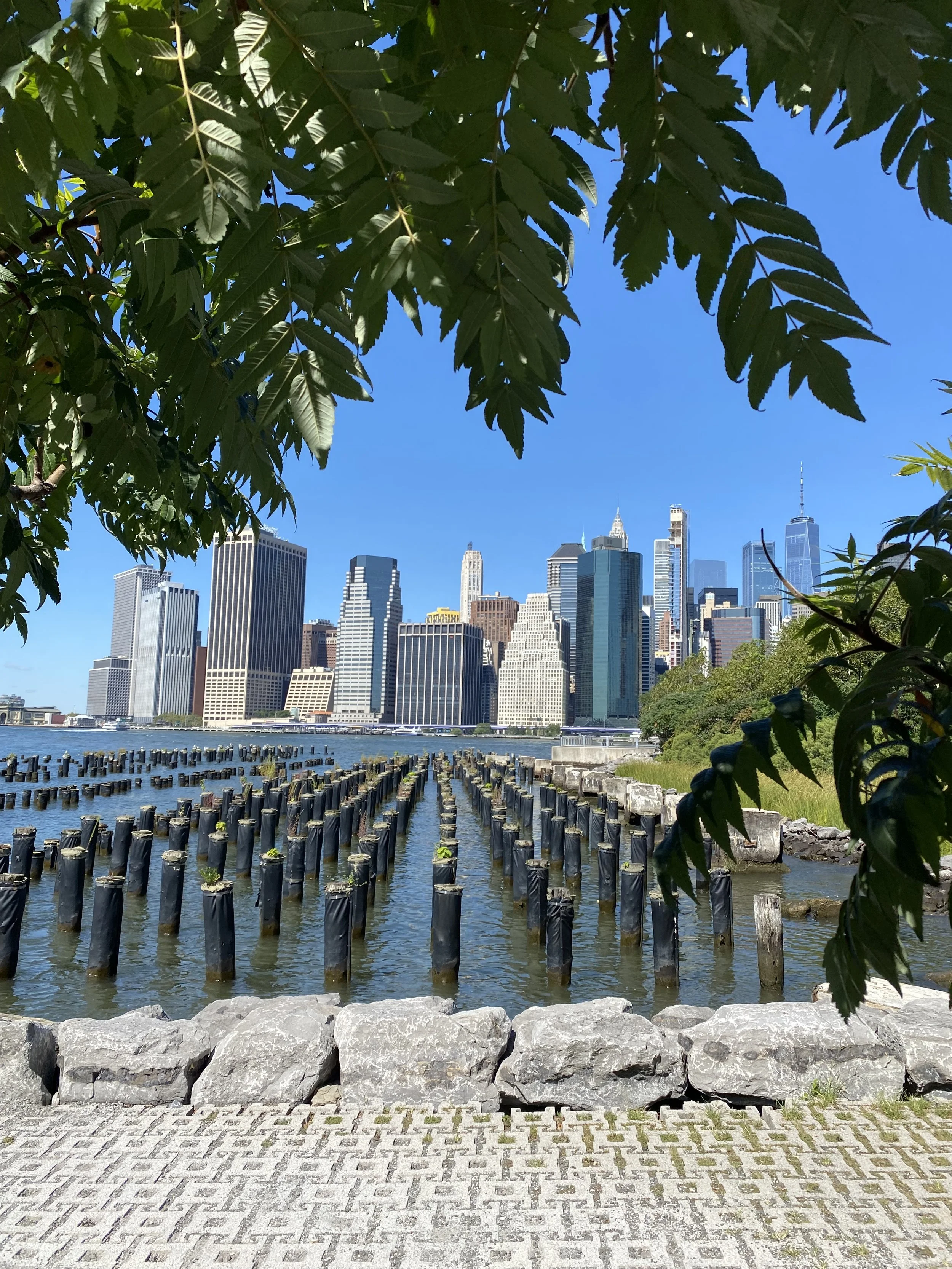Photo of NYC Skyline with water and trees.