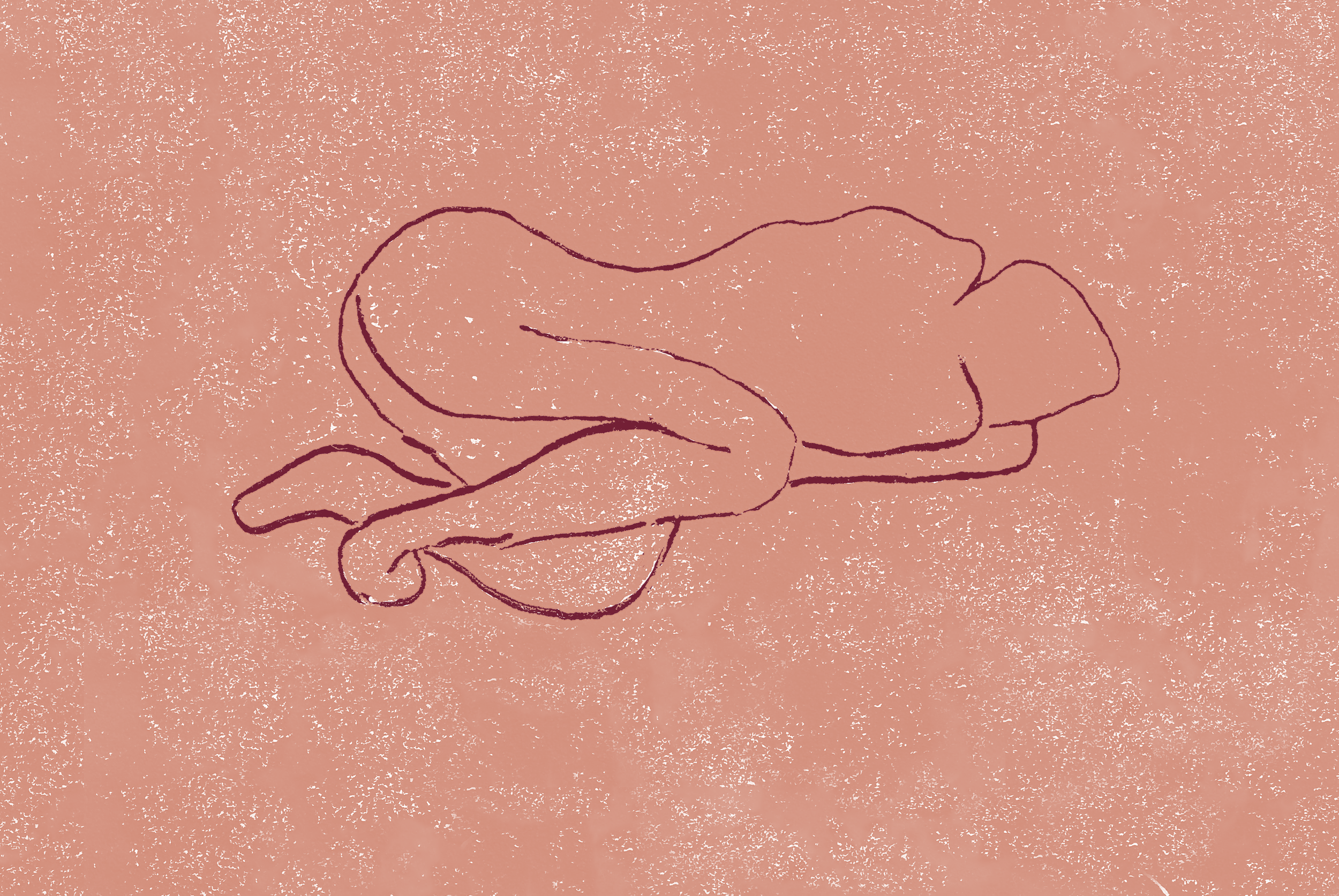 07.png