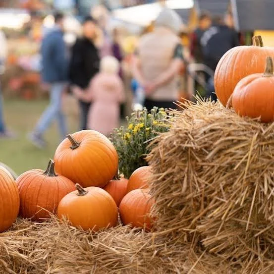 FALL FESTIVAL