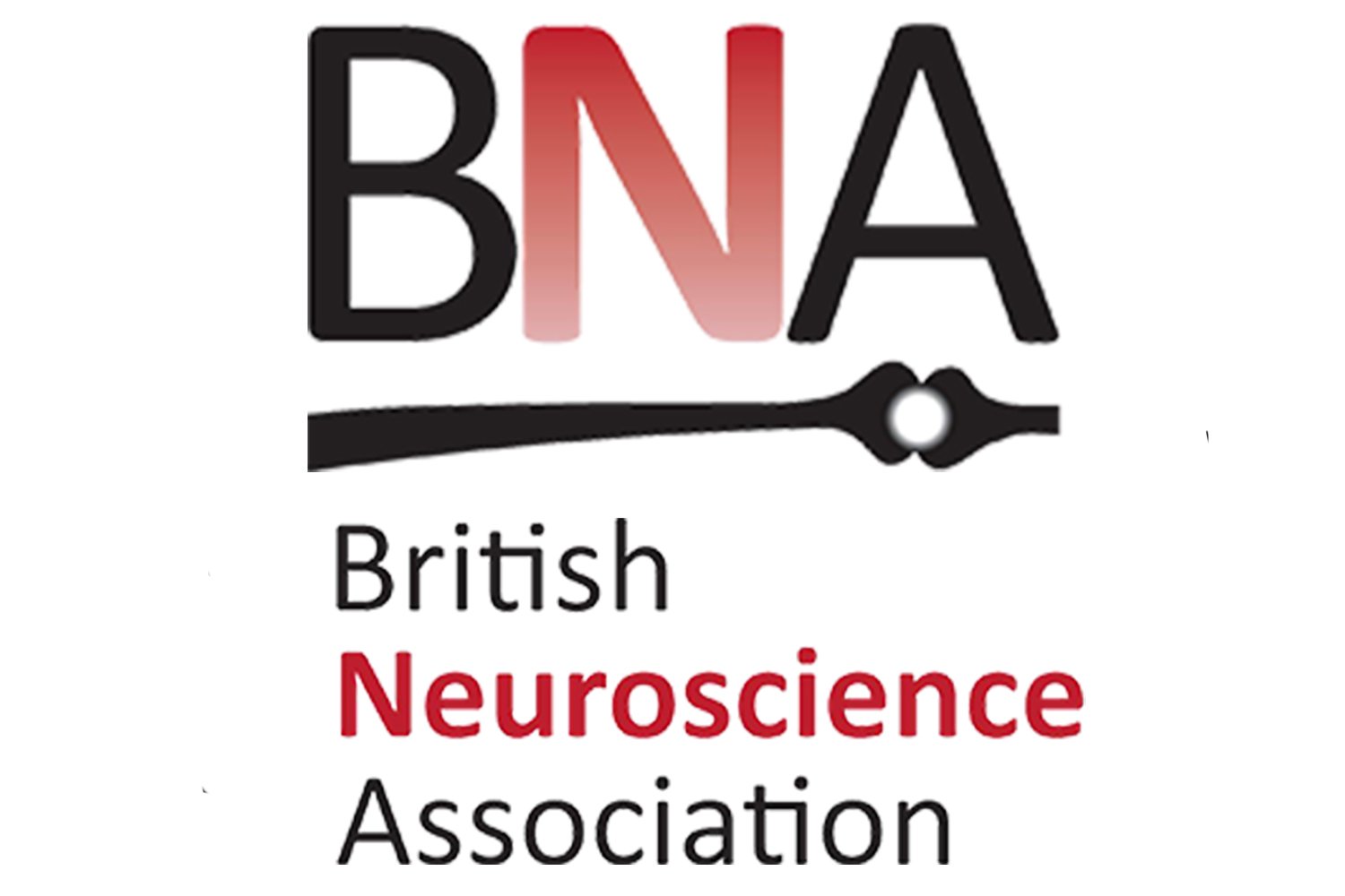 Dr Miguel Toribio-Mateas British Neuroscience Association Member copy.jpg (Copy) (Copy)