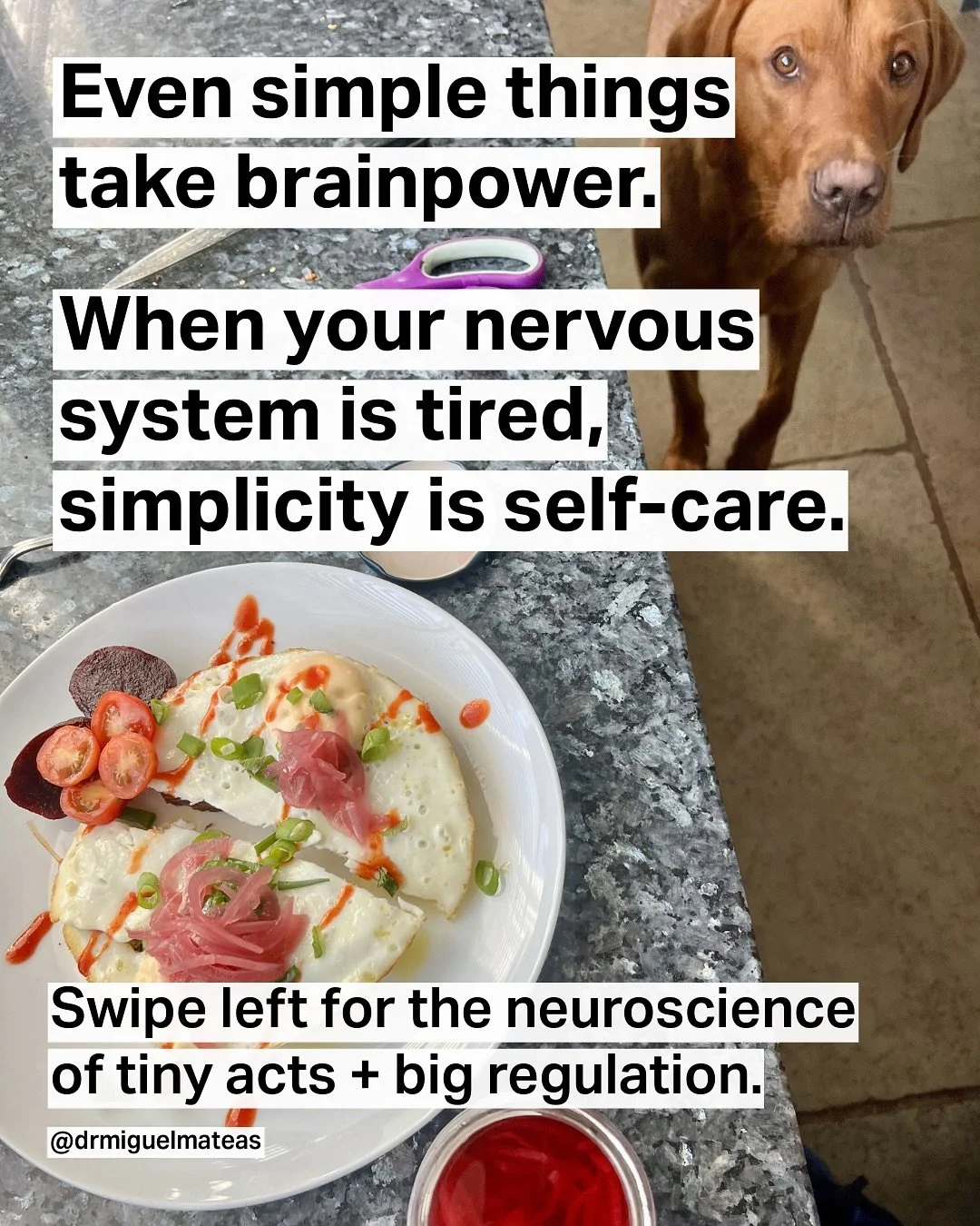 Some days, I don&rsquo;t have the brainpower for complicated cooking.
 But even on those days, I still like to feel I&rsquo;m nourishing myself gently, simply, without the pressure of toxic diet culture&hellip;

Because feeding ourselves isn&rsquo;t 