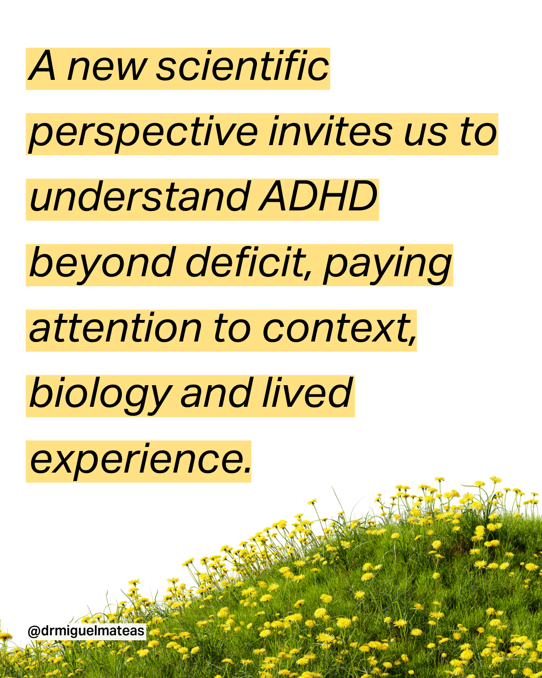 What science is beginning to understand about adult ADHD