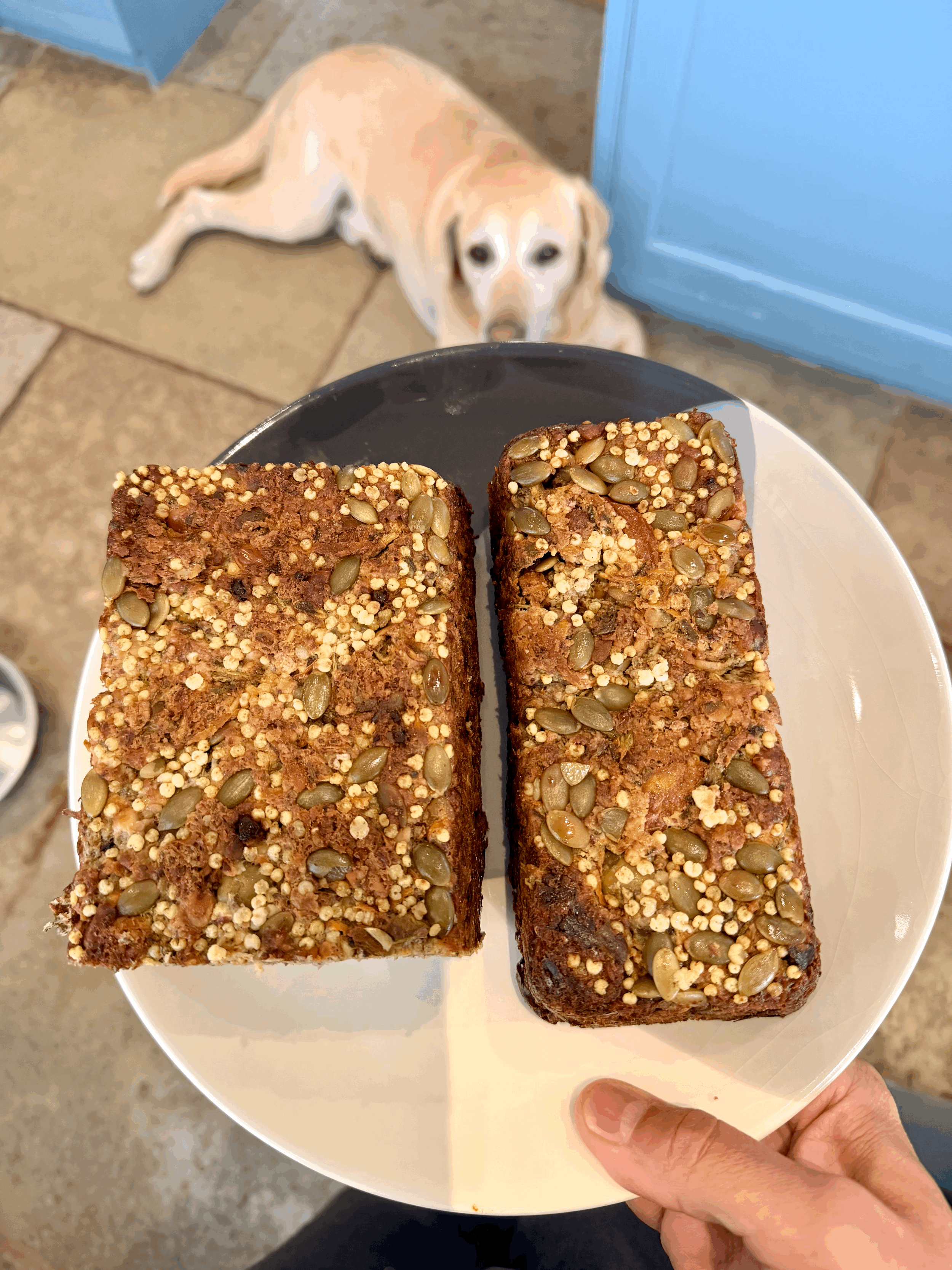 Vegan high-fibre seed and vegetable loaf with olives and doenjang
