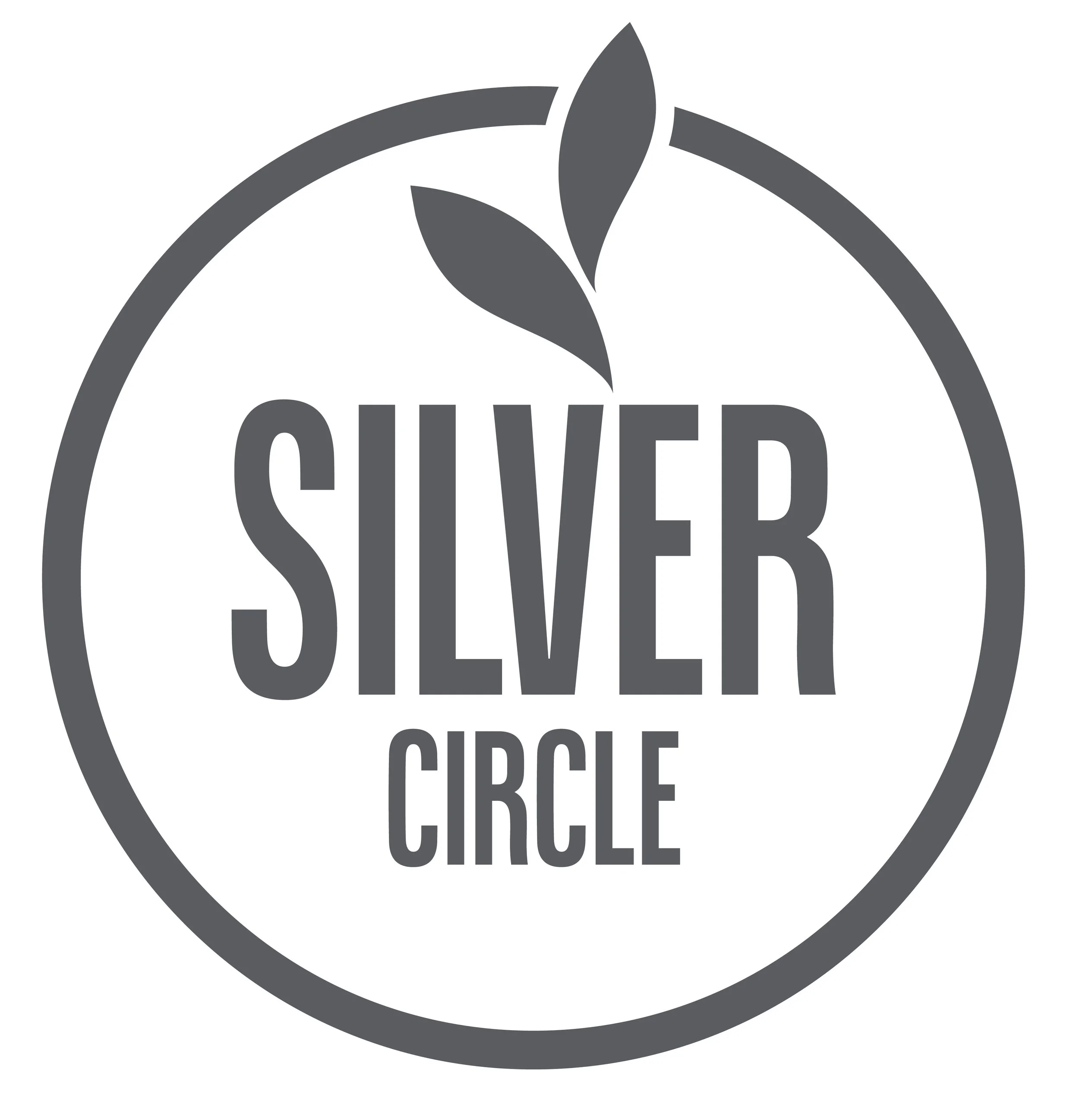Silver Circle Design Files-02.jpg