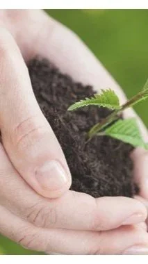 SAGES Northeast 2026