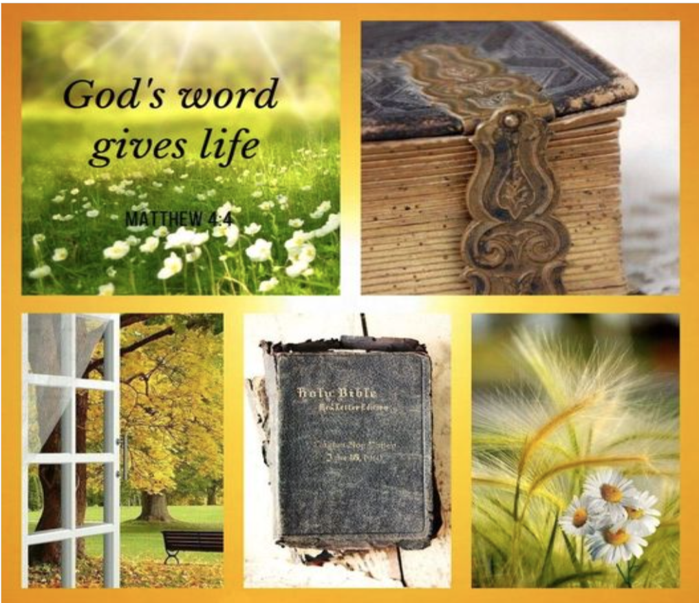 God’s Word Gives Life!