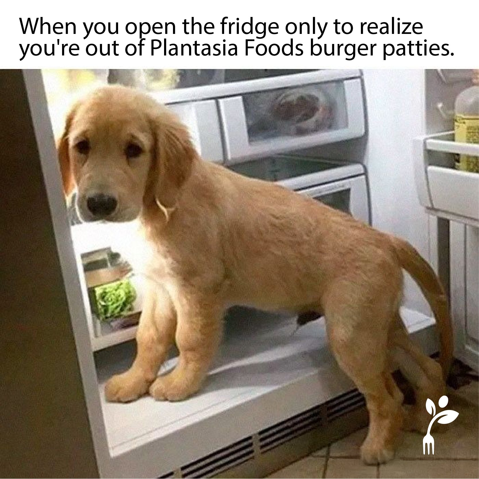 When you open the fridge only to realize you're out of Plantasia Foods burger patties.

#plantasiafoods #Friday