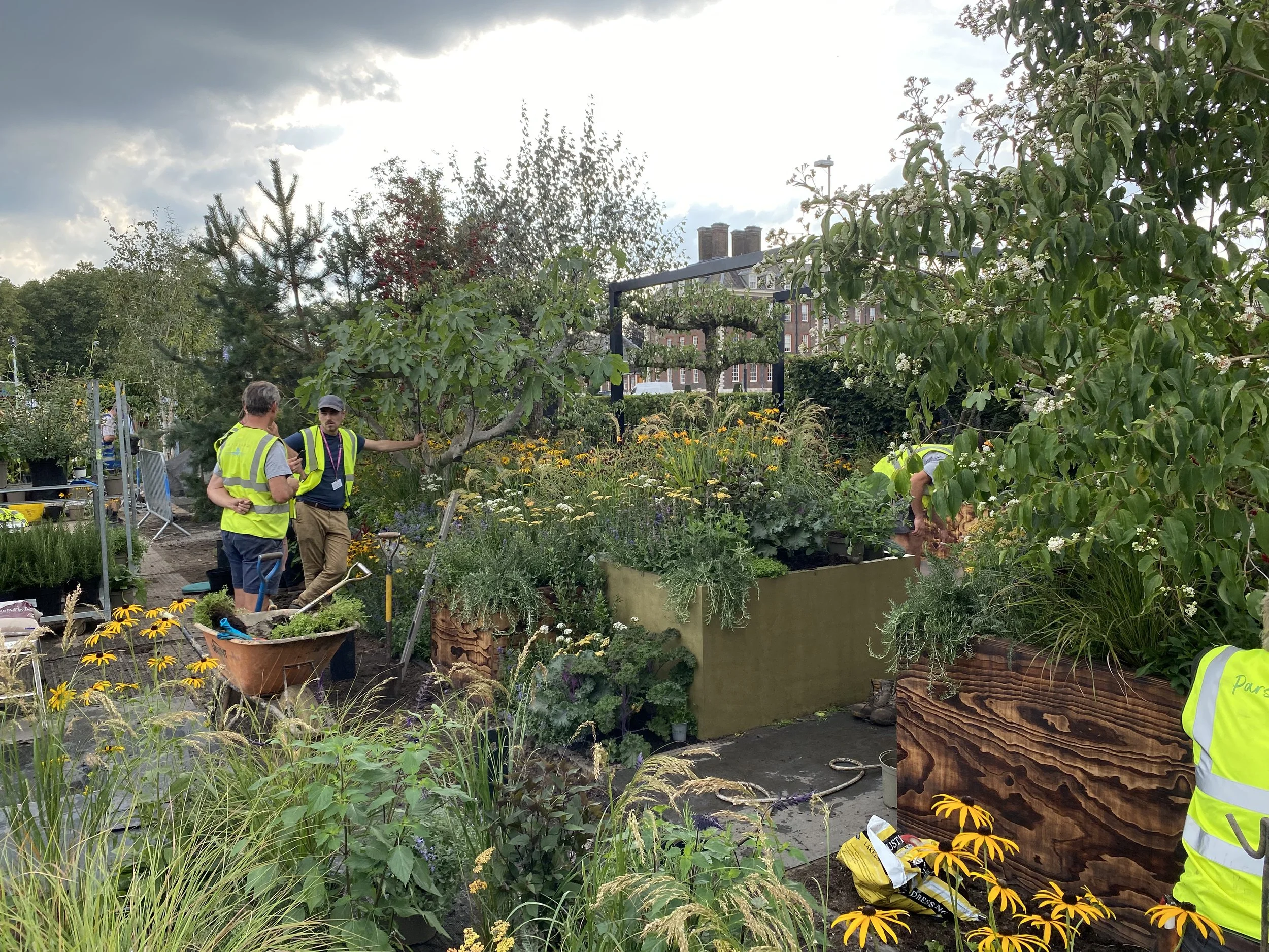 Parsley Box Garden RHS Chelsea 2021 — thelandscapetailor.co.uk