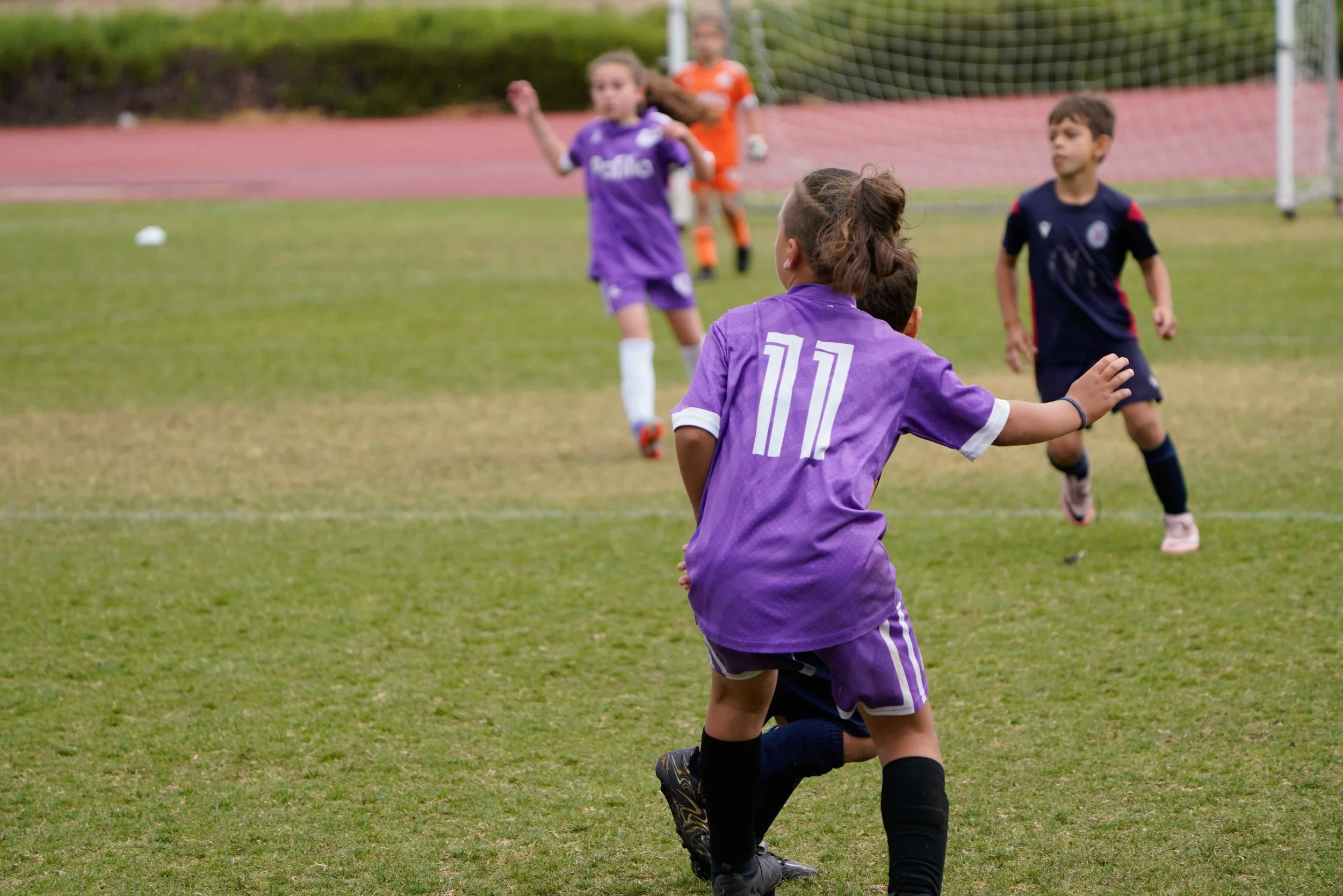 n337.jpg