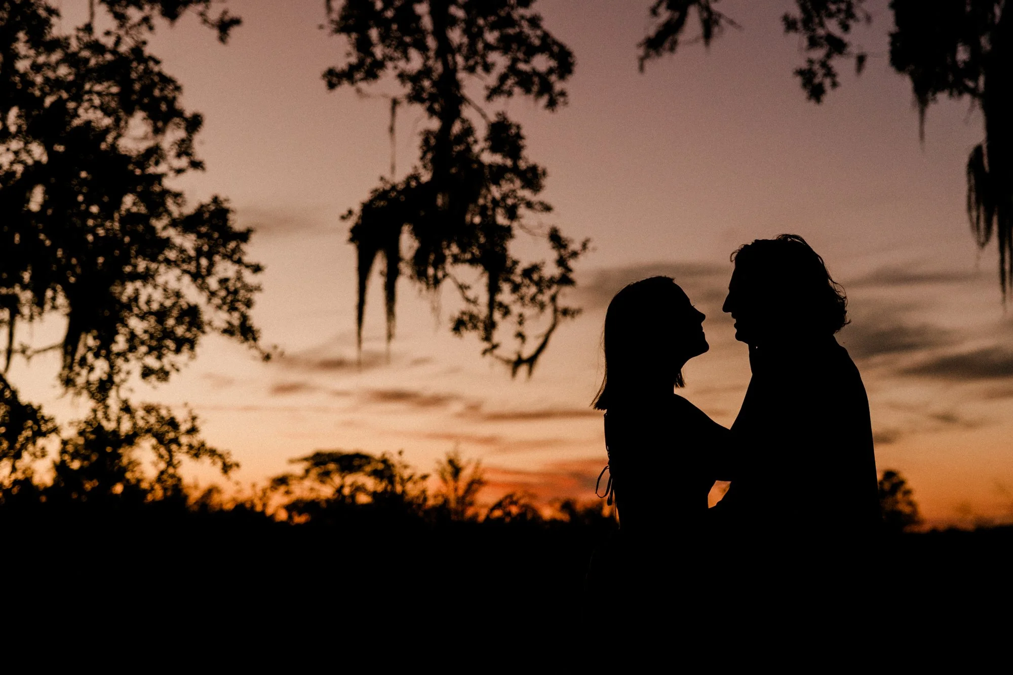 for portfolio 2025-12.jpg