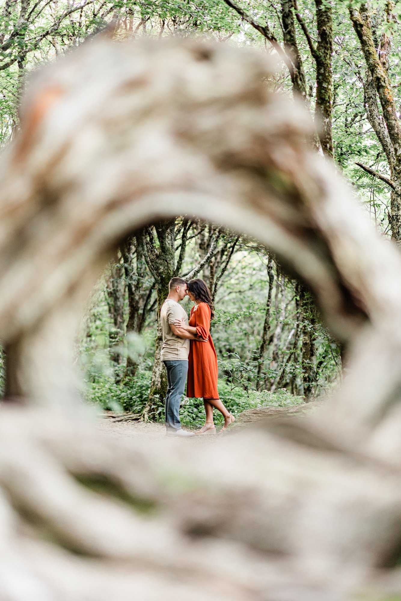 craggy gardens engagement session-7.jpg
