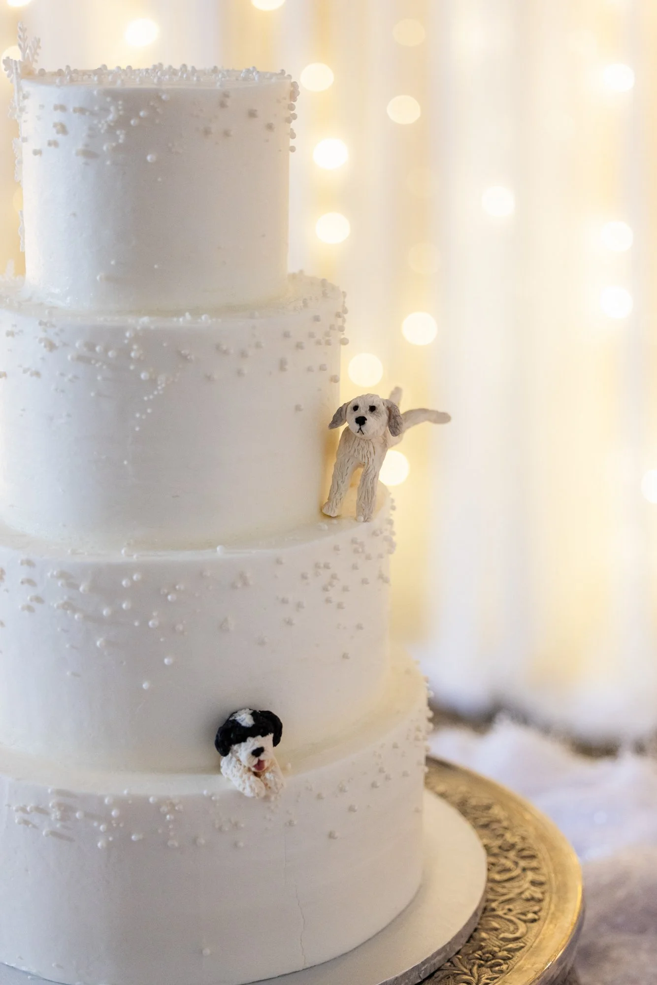 hotel-hartness-wedding-greenville-sc-photographer-13.jpg