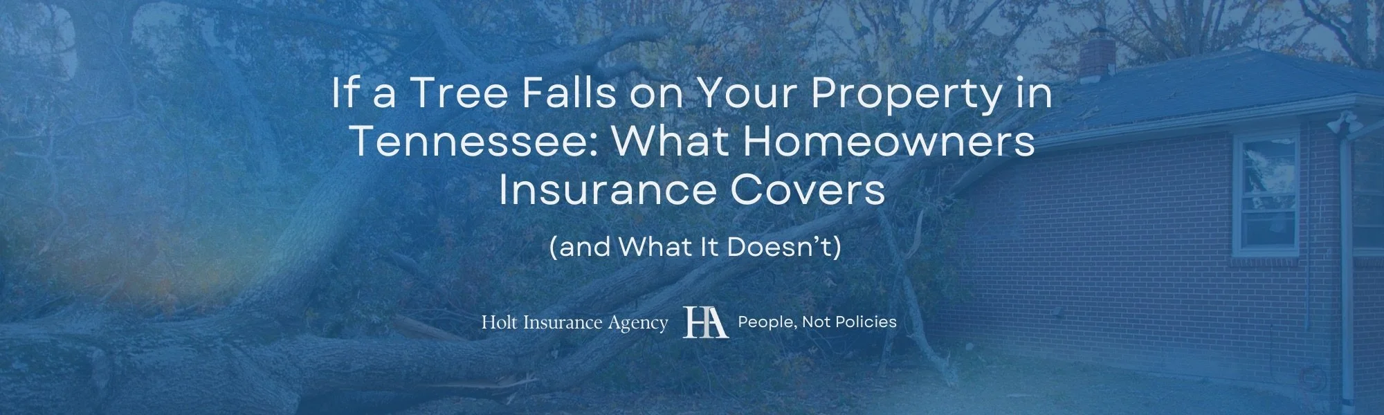 If a Tree Falls on Your Property in Tennessee: What Homeowners Insurance Covers (and What It Doesn’t)