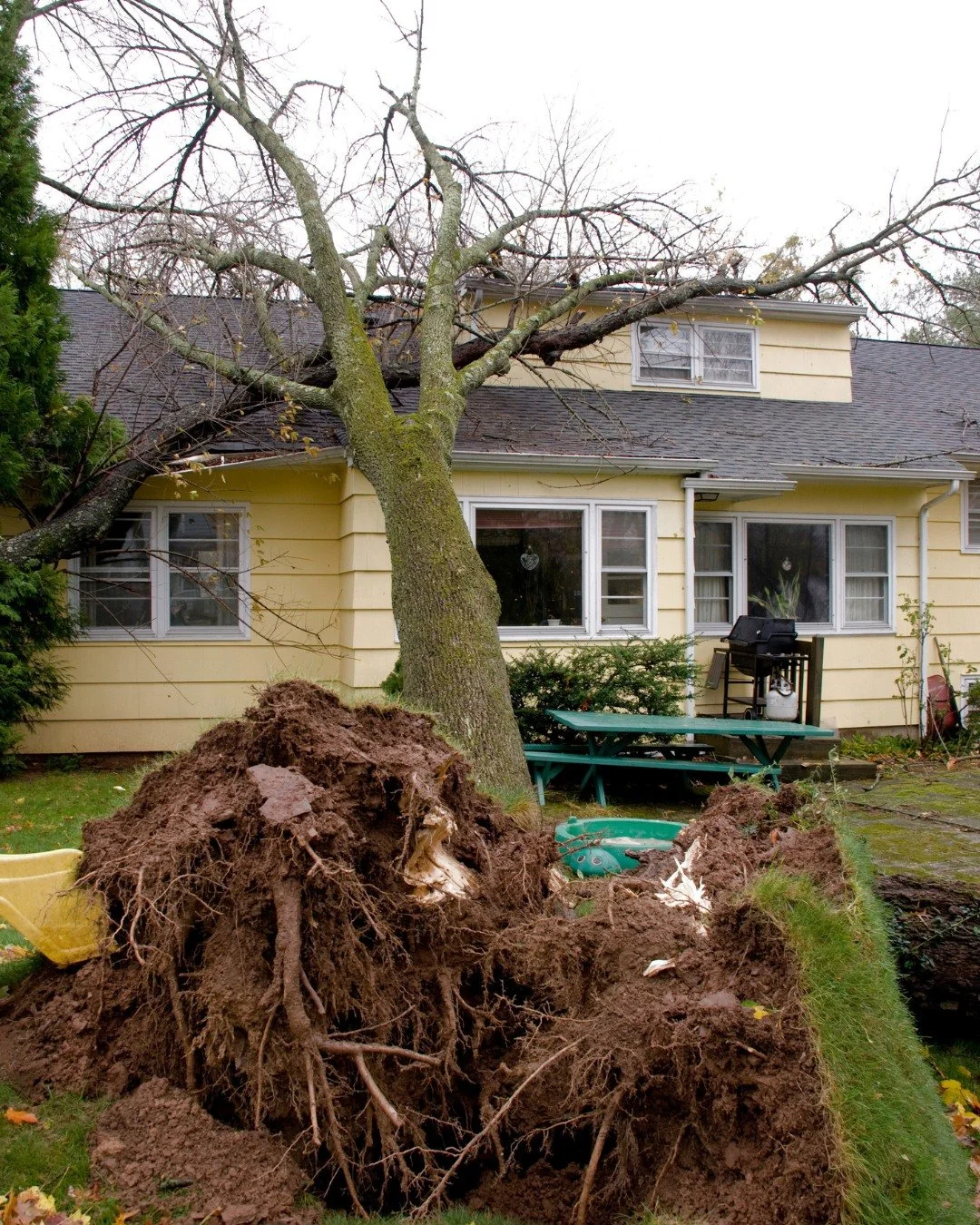 After the recent winter storm across Nashville and Middle Tennessee, a lot of homeowners were surprised by this.

If a tree falls in your yard and does not hit your home, garage, or another covered structure, homeowners insurance usually does not pay