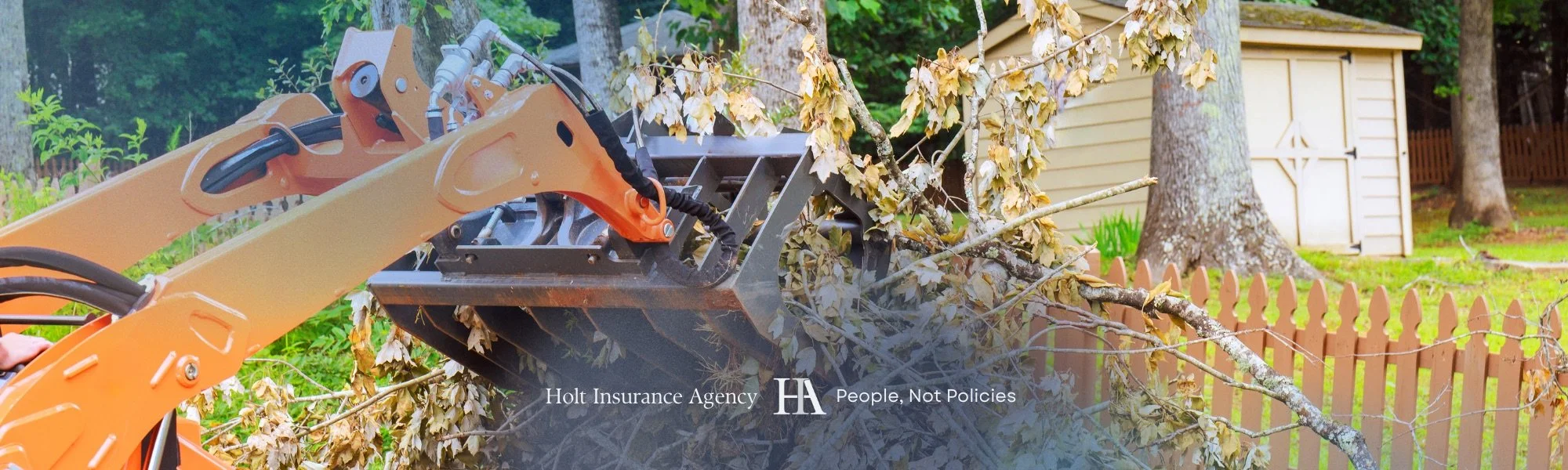 Recovering a fallen tree