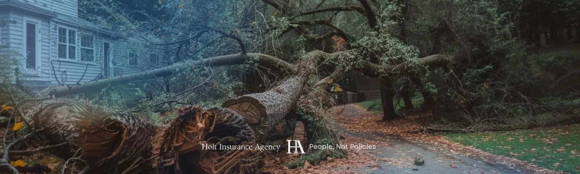Blocked driveway by fallen tree