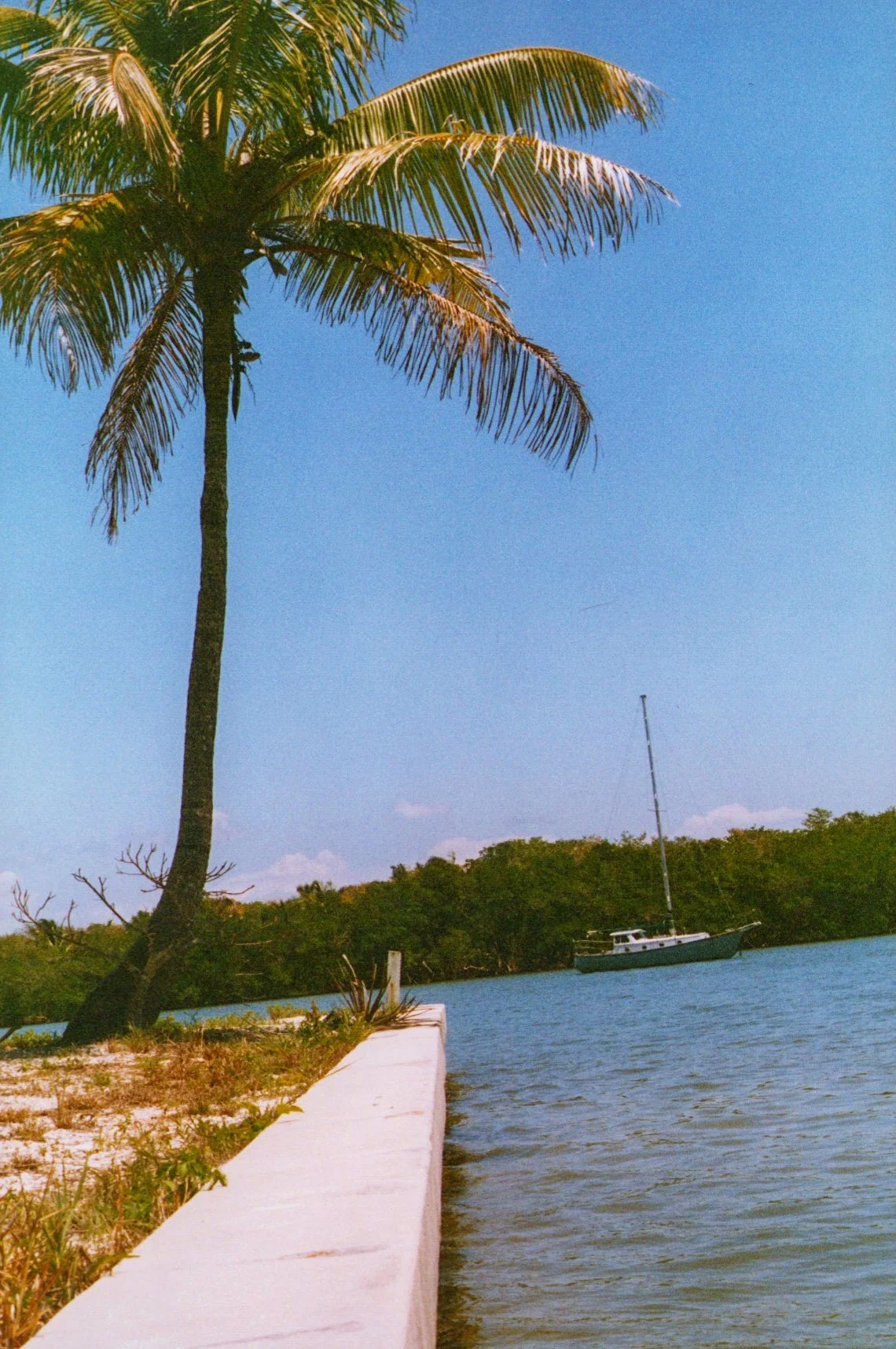 26c.jpg
