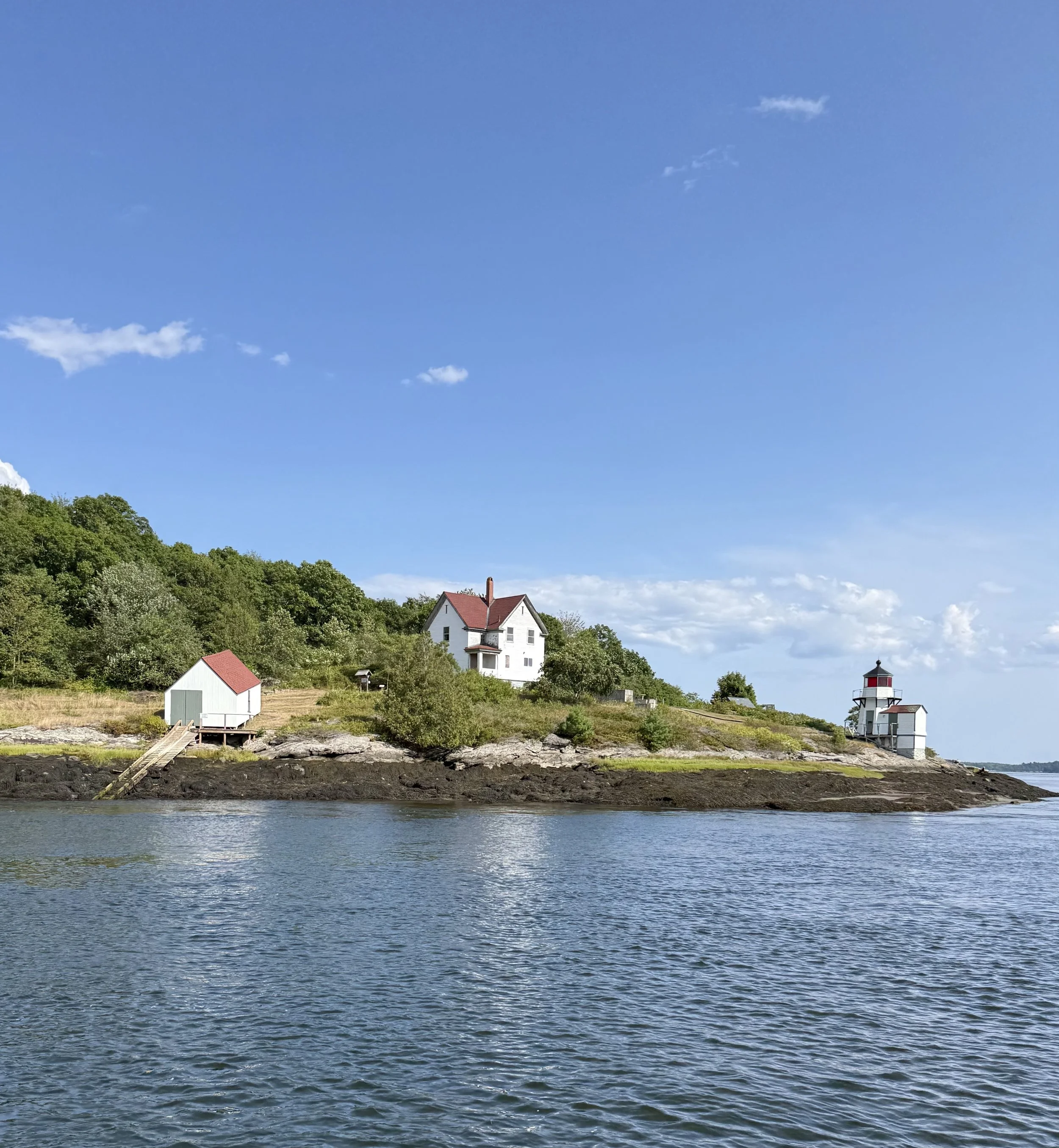 IMG_6899.jpeg