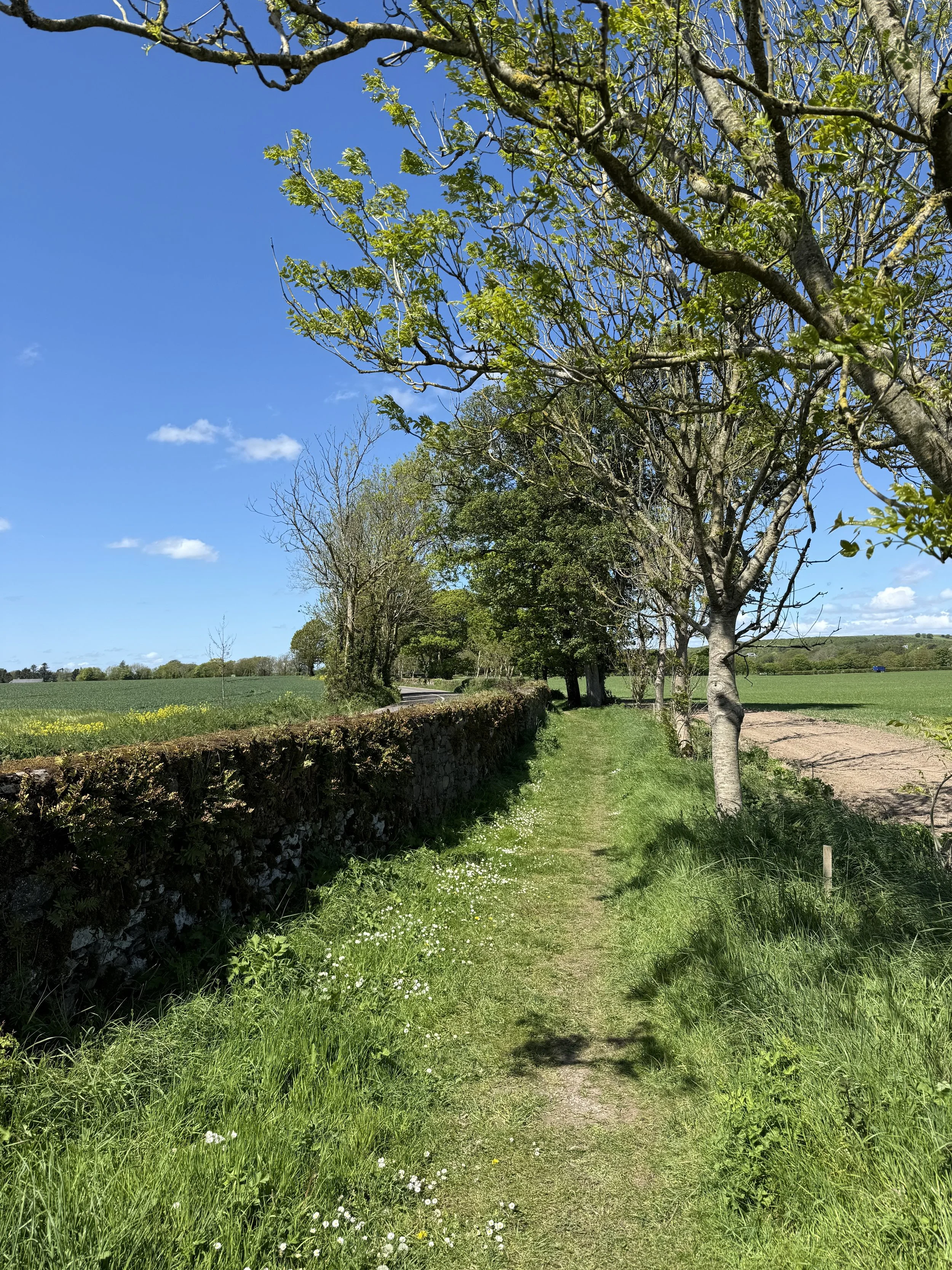 IMG_6361.jpeg