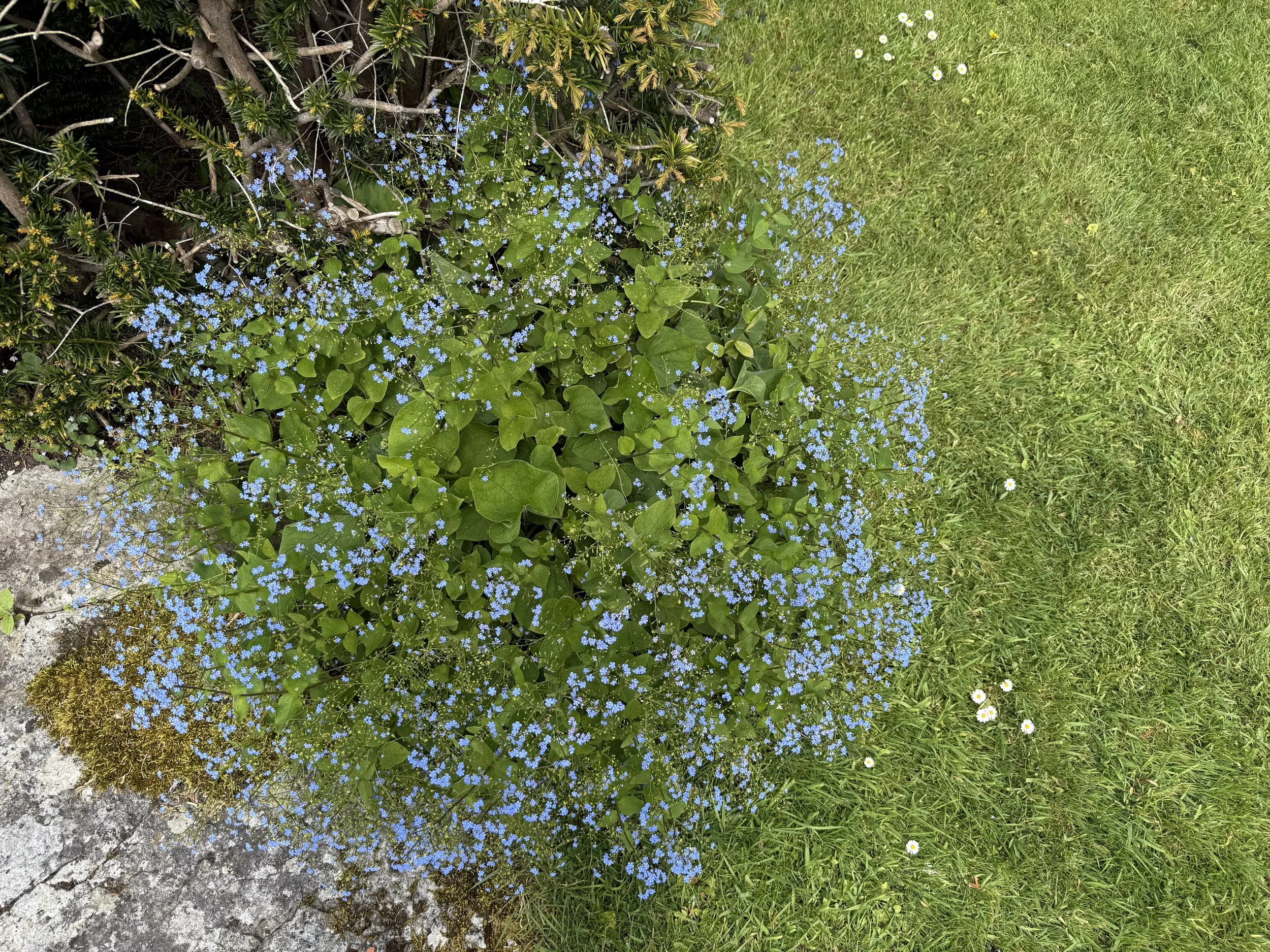 IMG_1643.jpeg