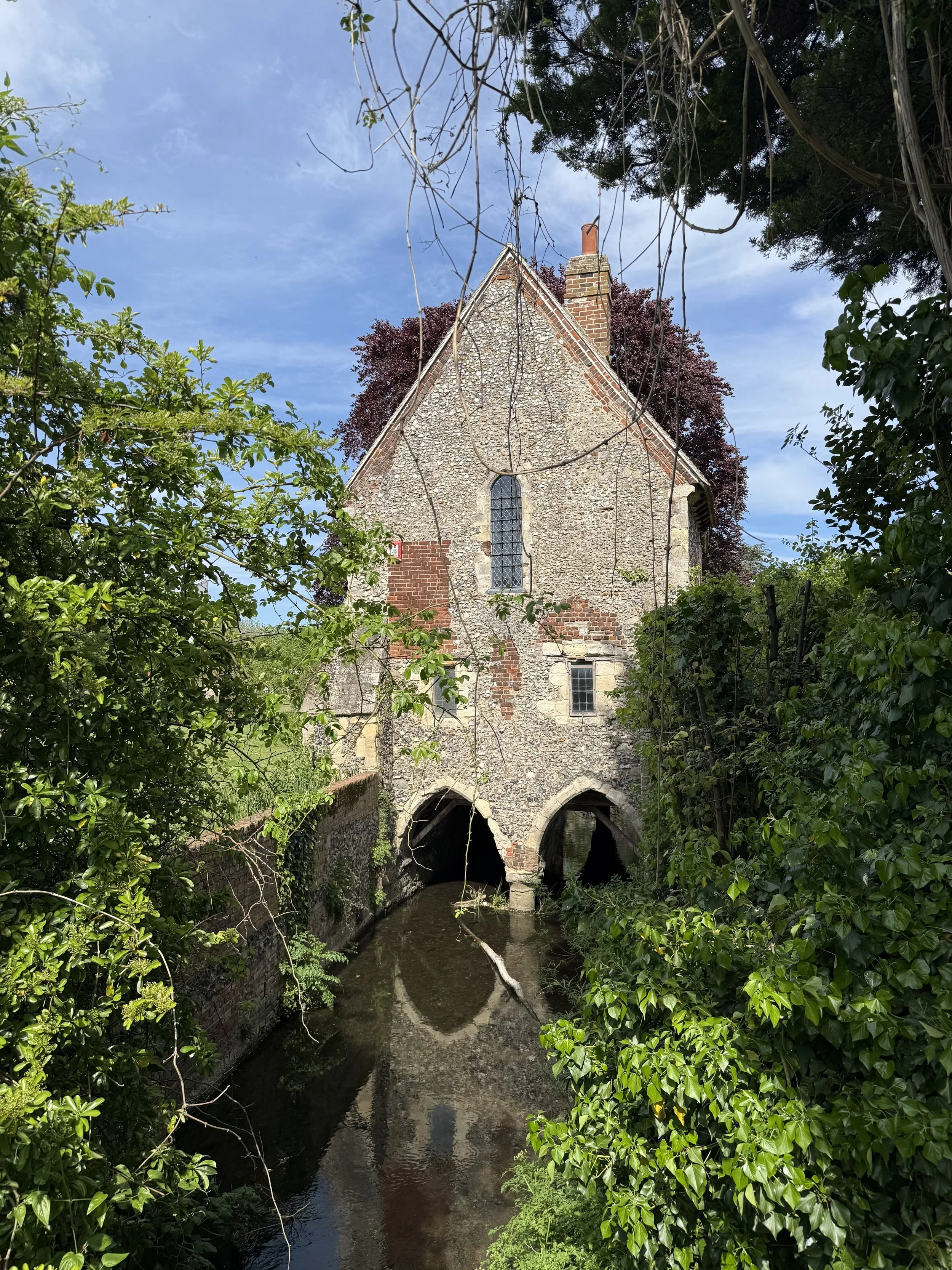 IMG_6063.jpeg