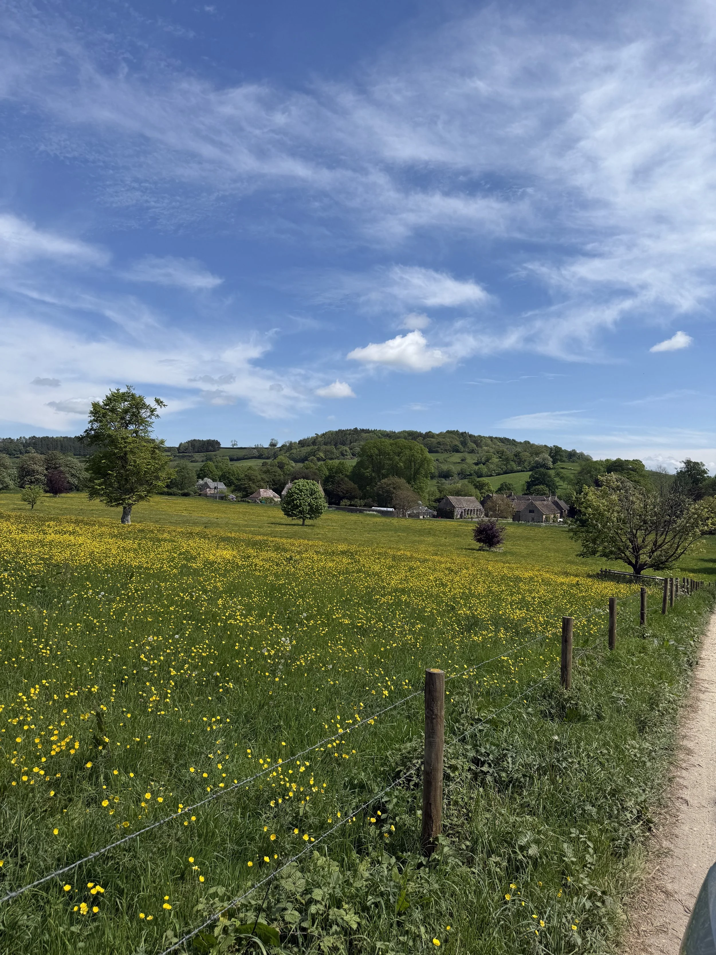 IMG_6206.jpeg