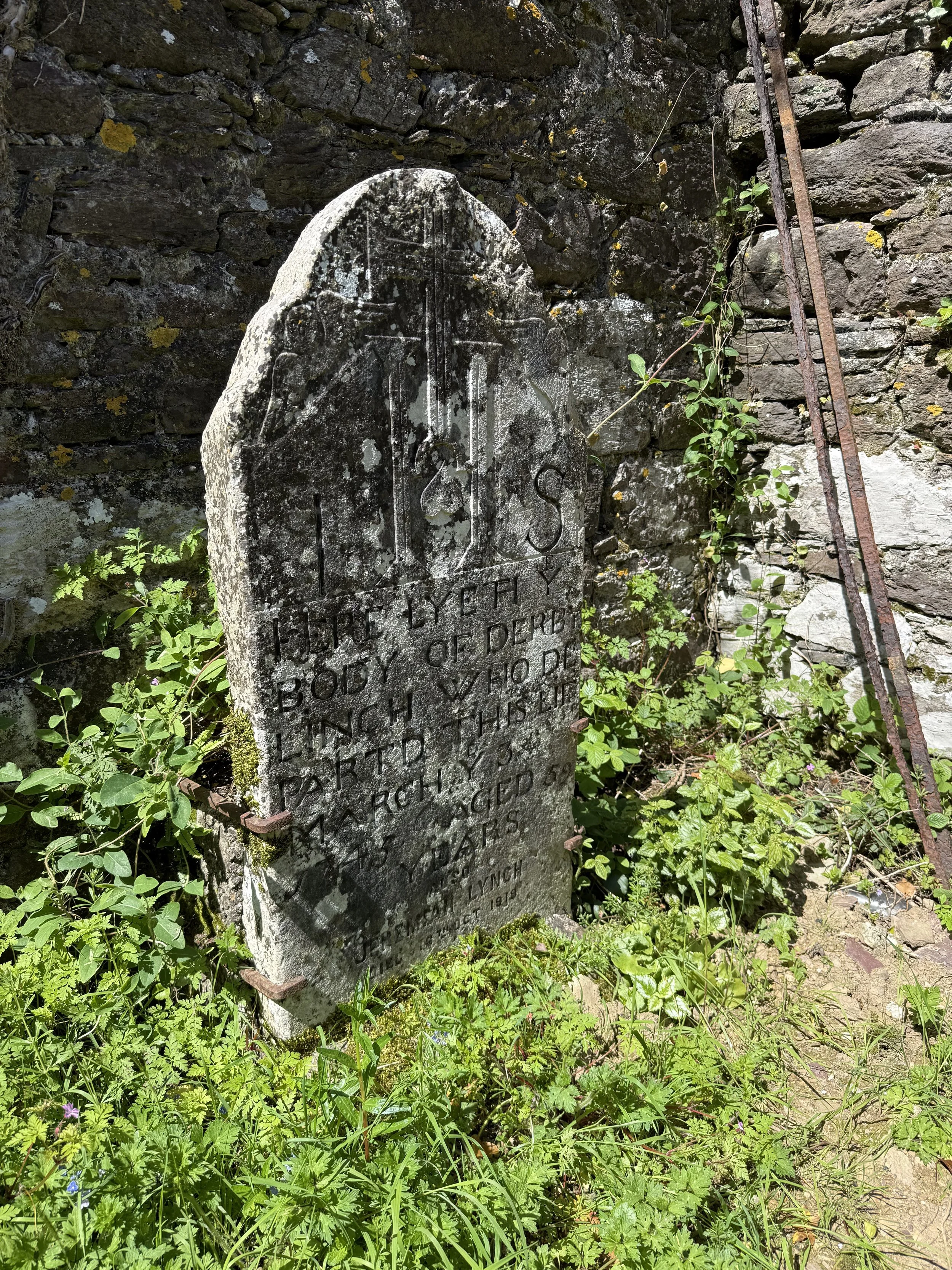 IMG_6485.jpeg