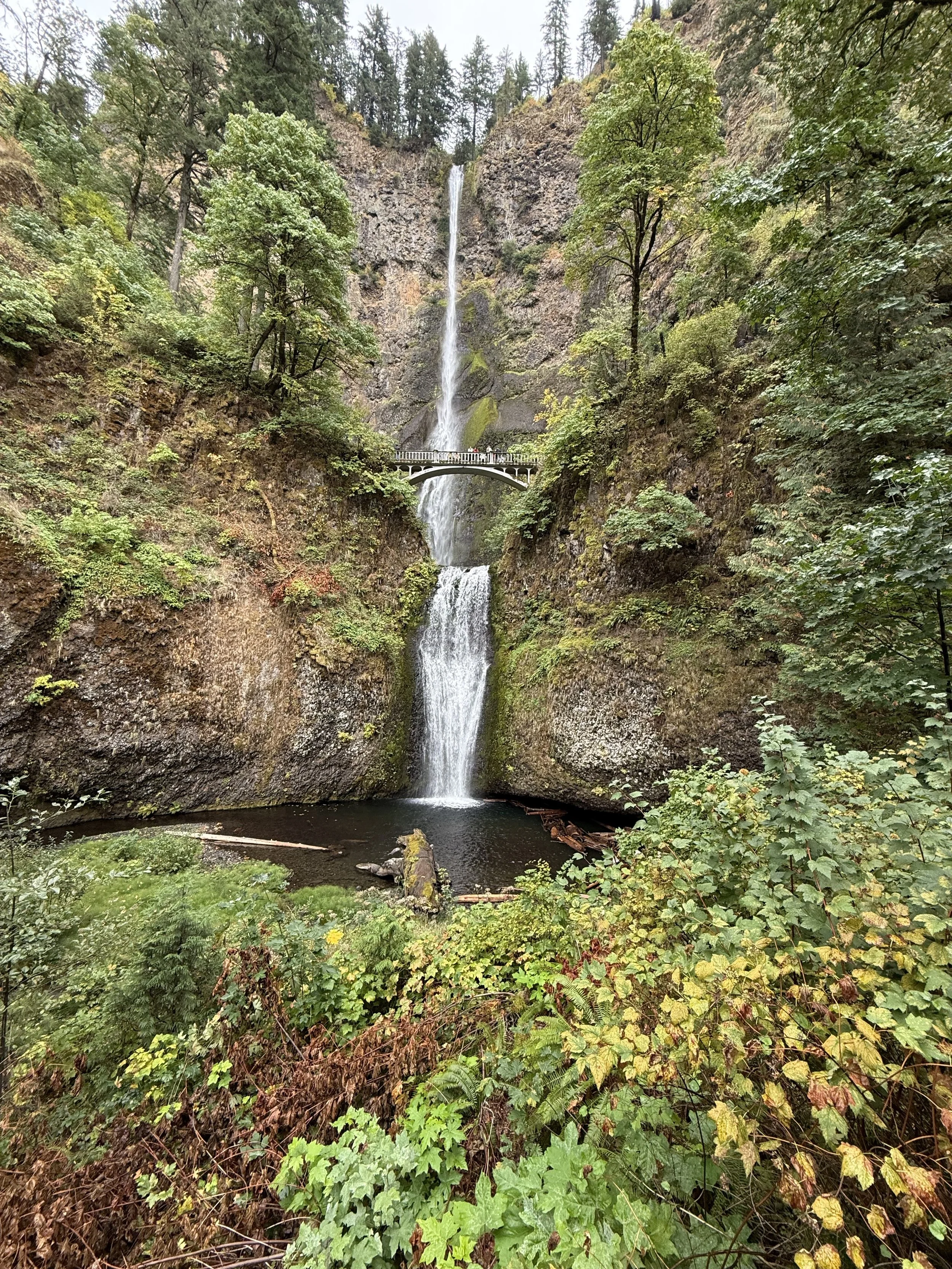 Zigzag Ranger Station