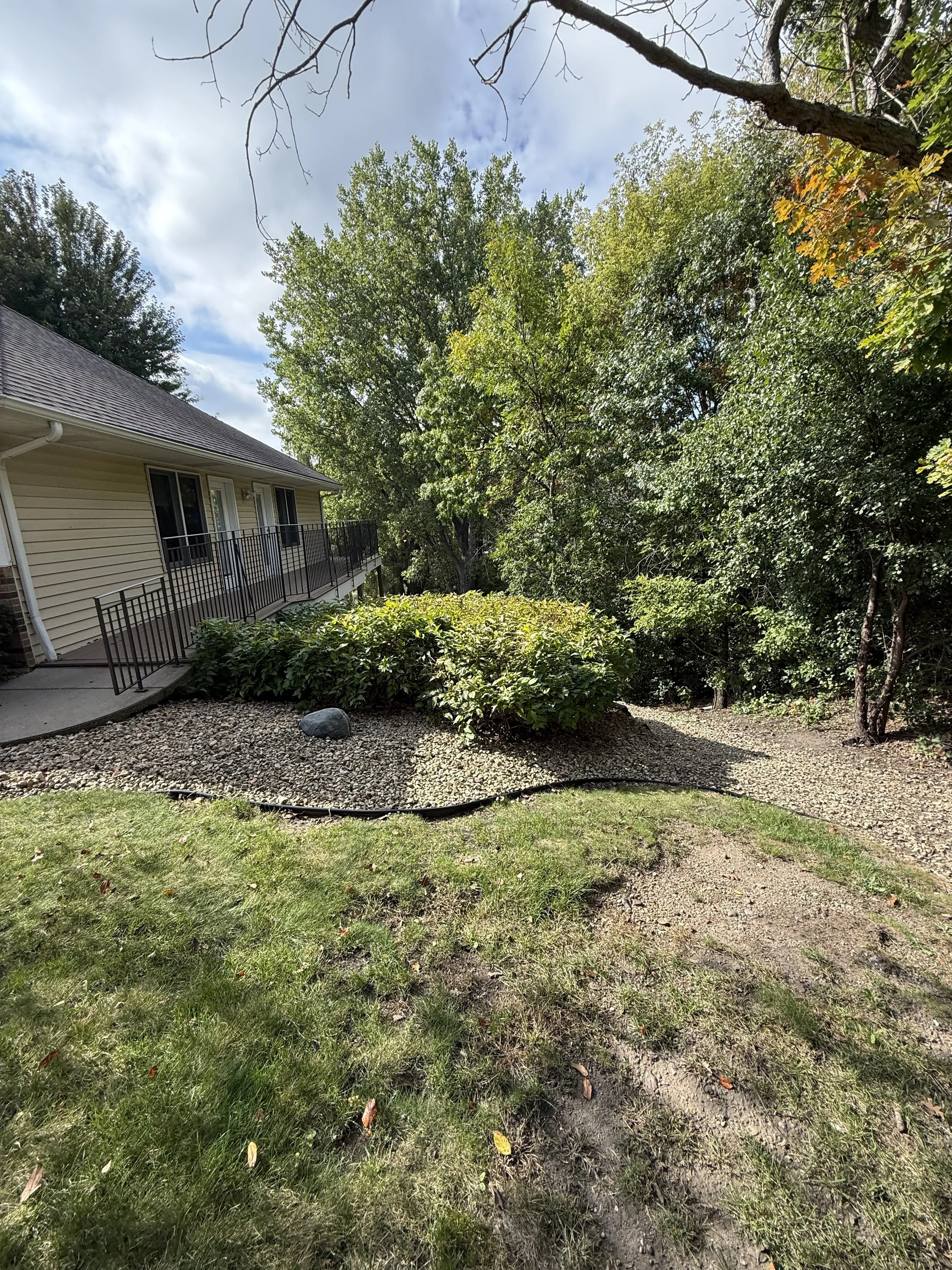 IMG_7246.jpeg