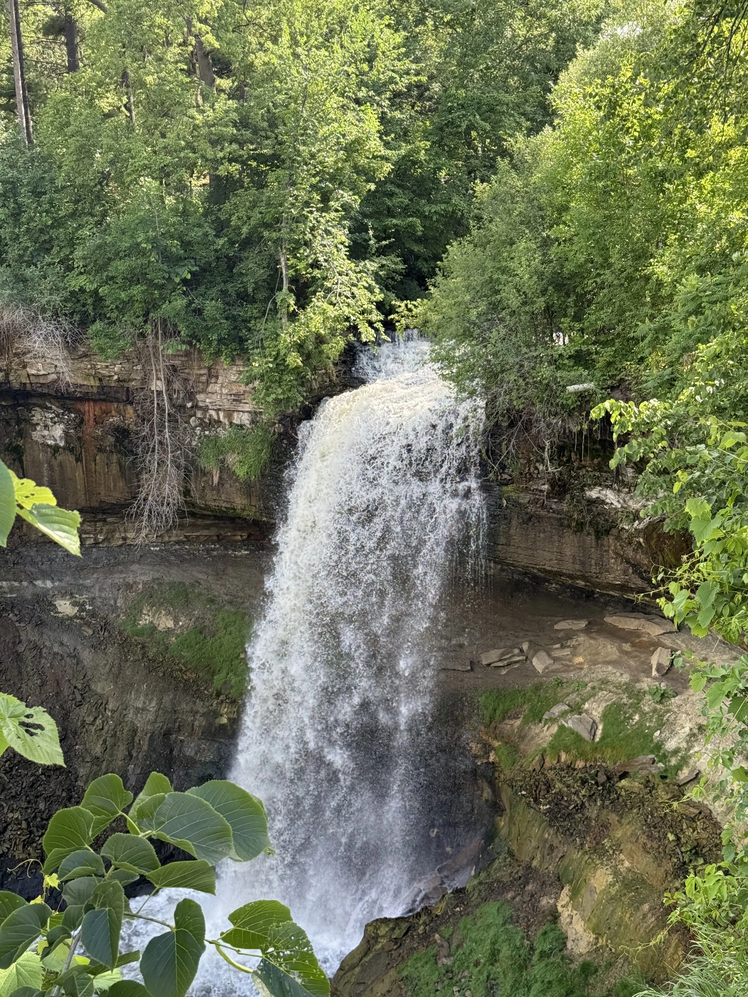 IMG_6624.jpeg