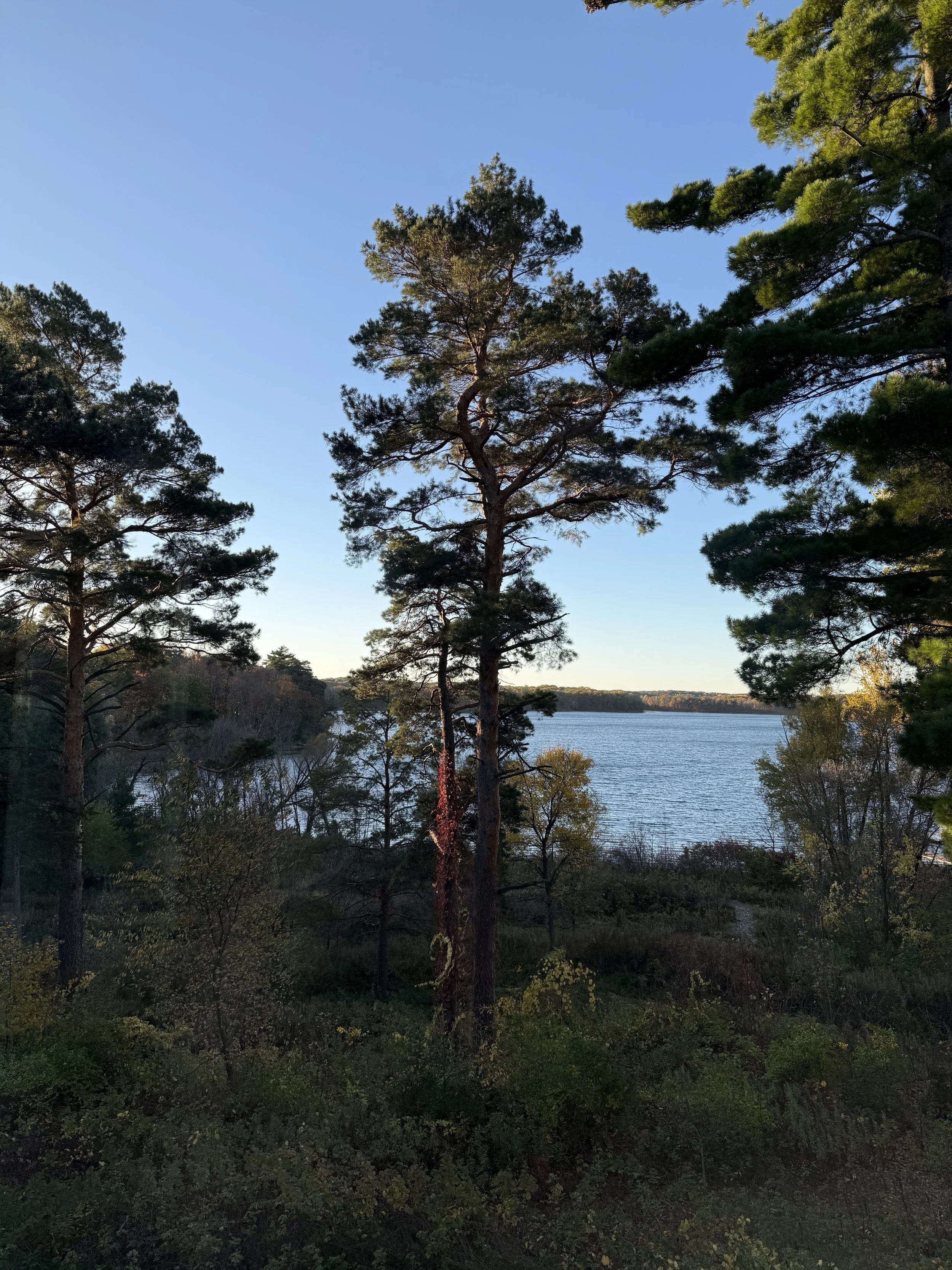 IMG_7352.jpeg