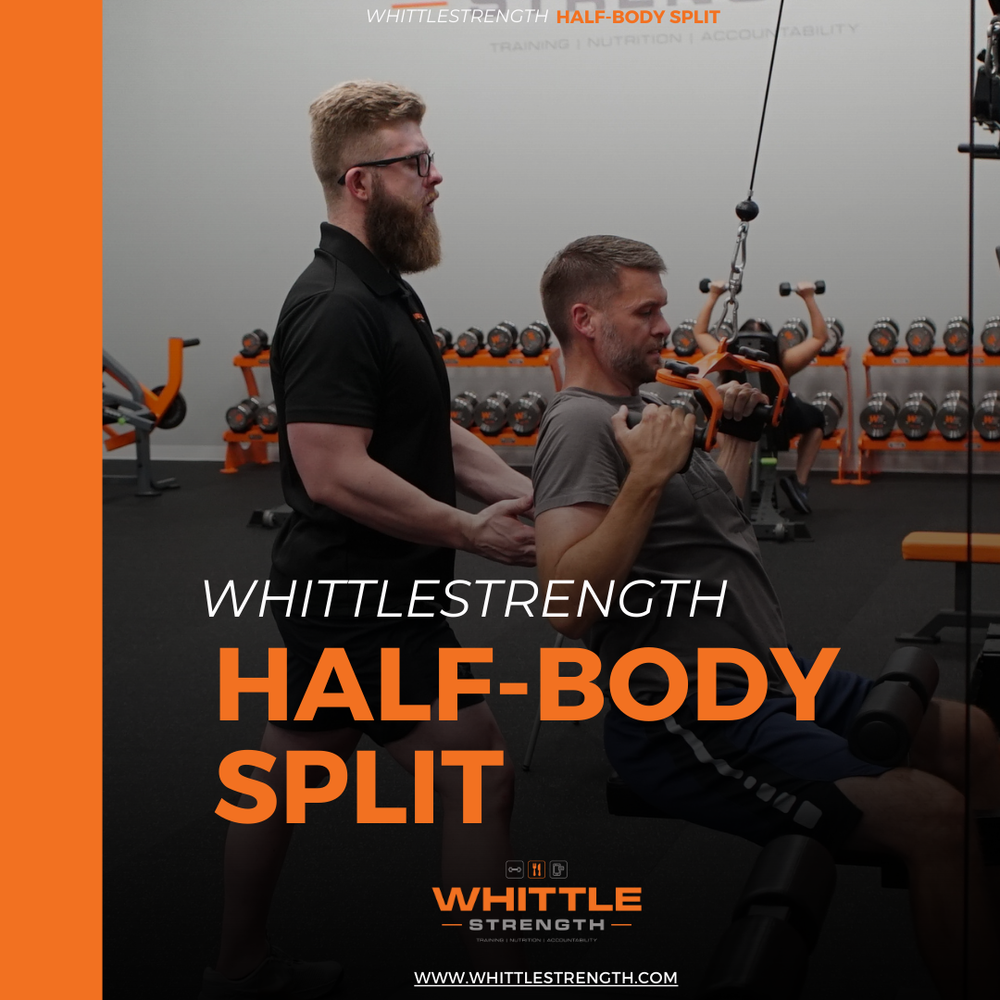 Strength Muscle Building Programs Customized Workouts